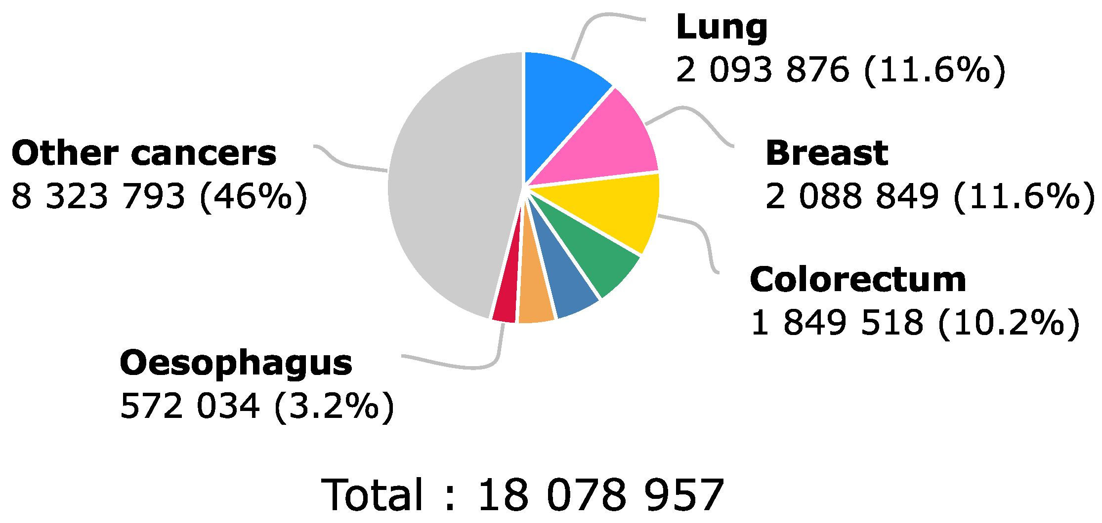 Molecules 28 00589 g001 Molecules 28 00589 g001