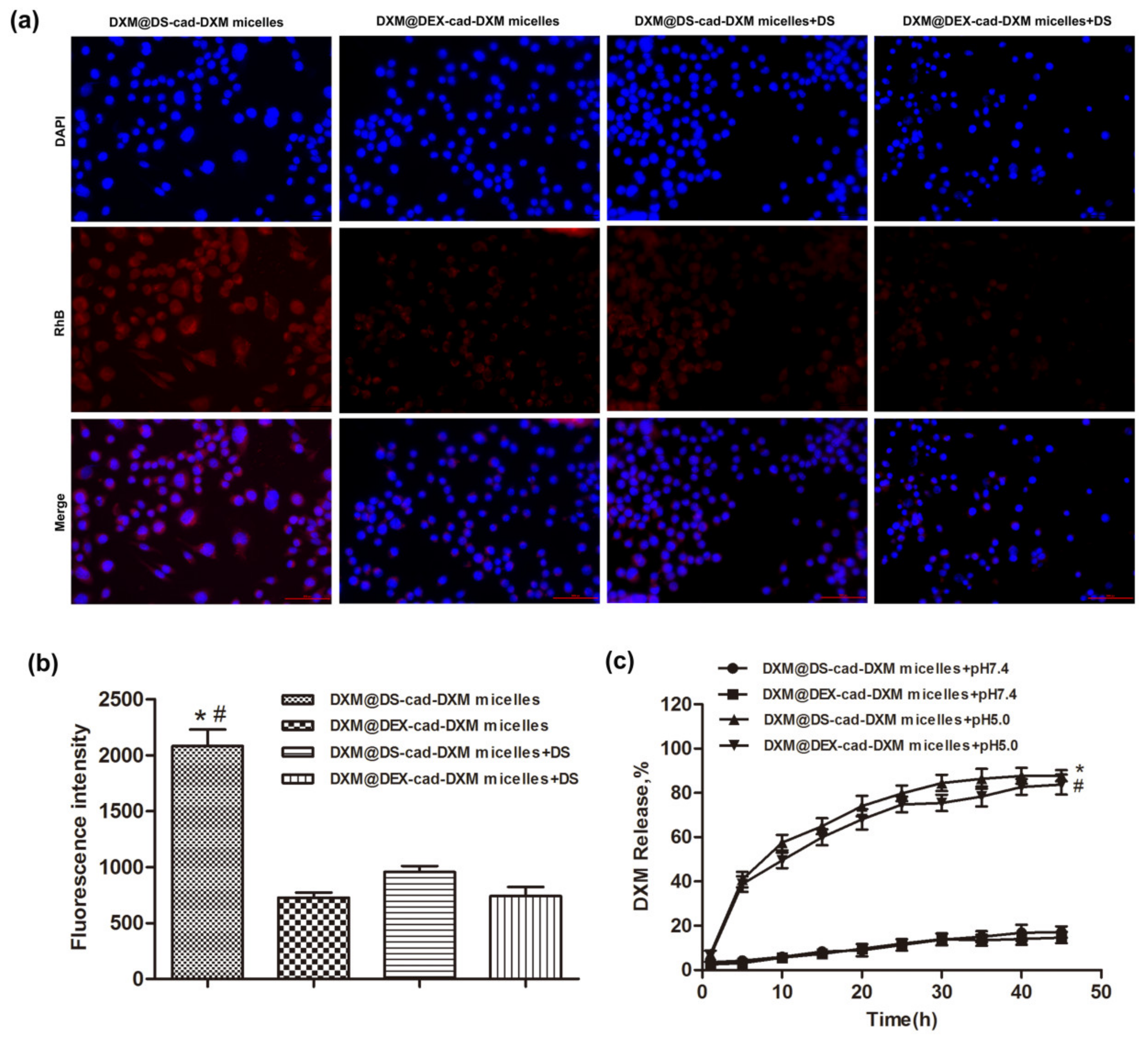 Molecules 28 00591 g004 Molecules 28 00591 g004