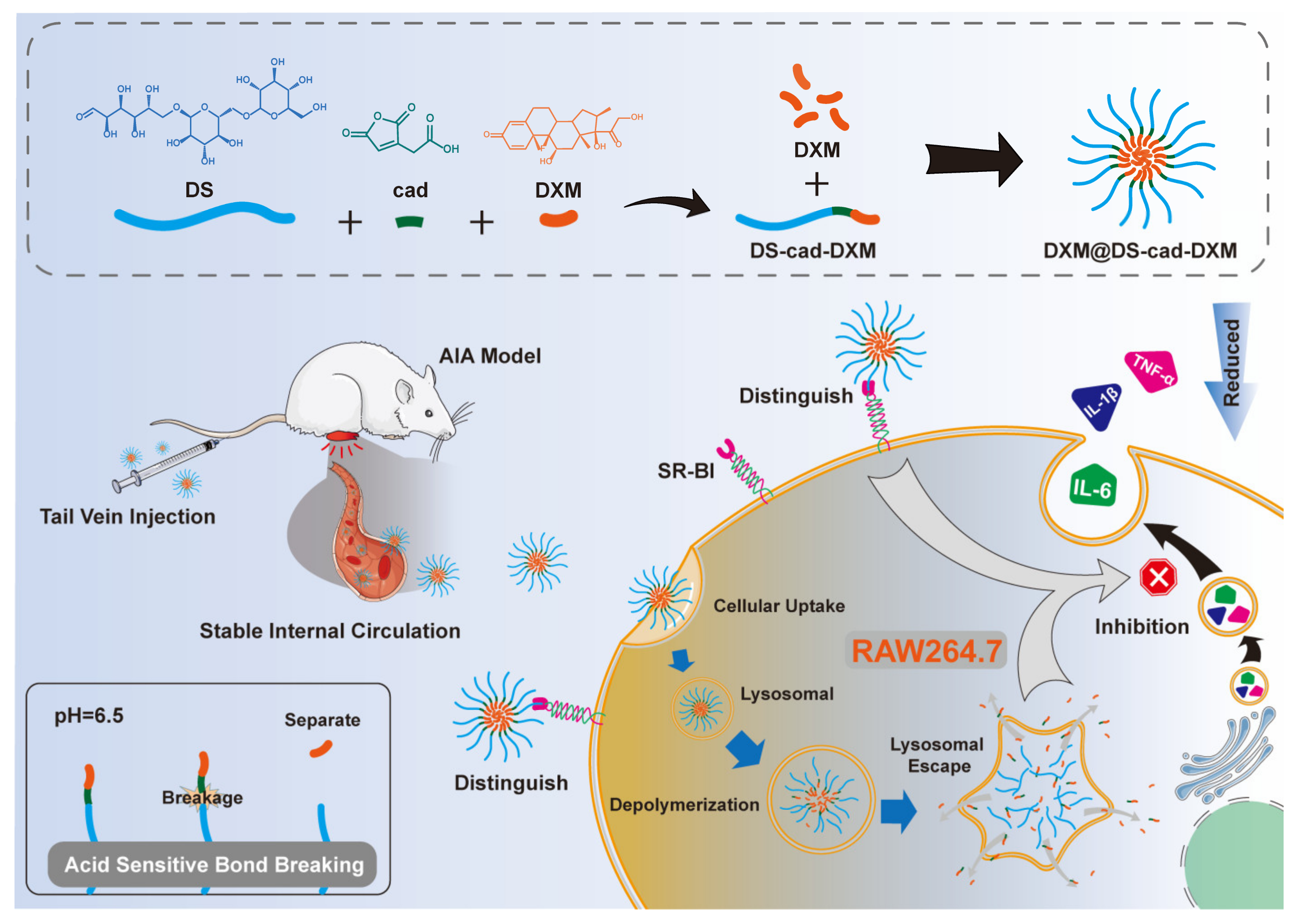 Molecules 28 00591 sch001 Molecules 28 00591 sch001