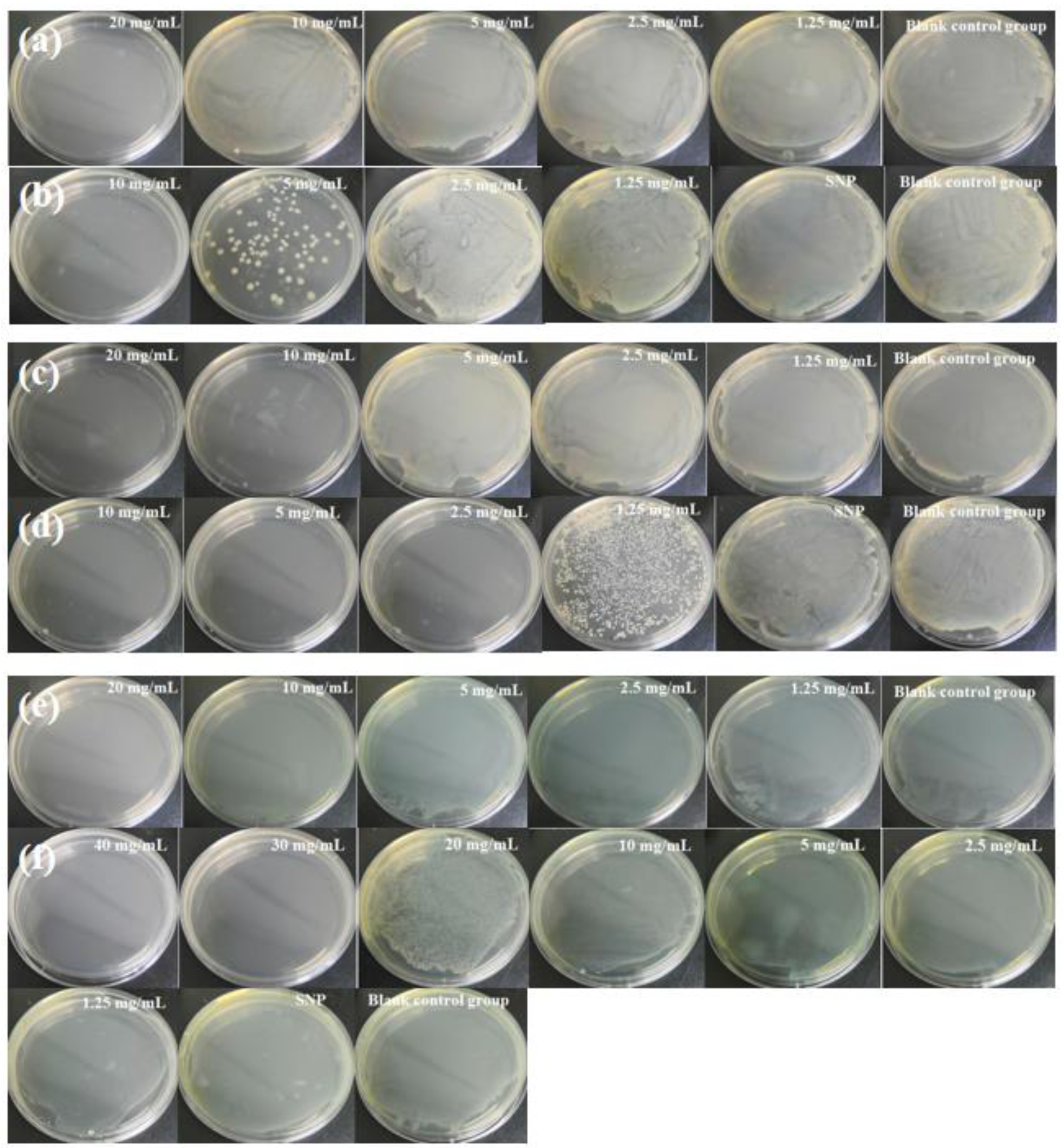 Molecules 28 00594 g007 Molecules 28 00594 g007