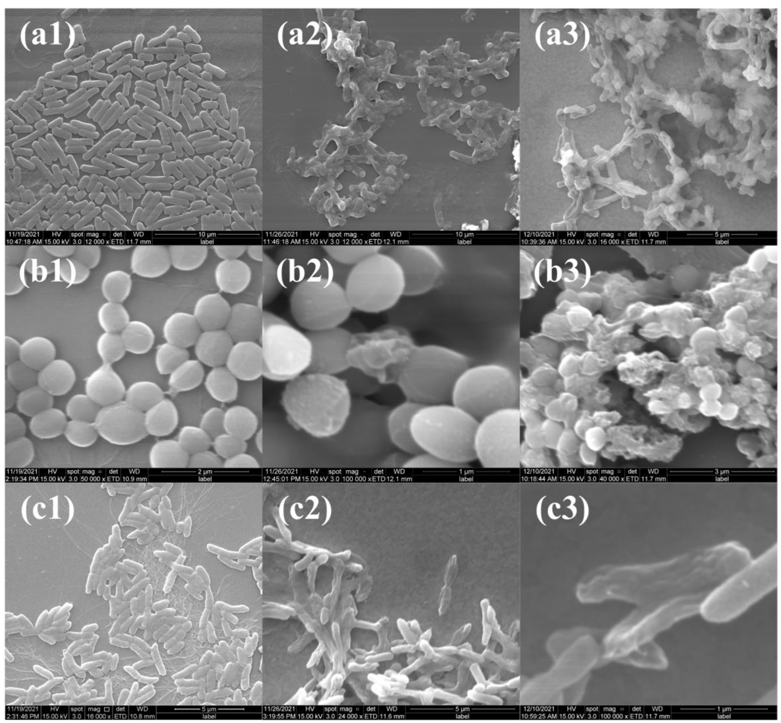 Molecules 28 00594 g010 Molecules 28 00594 g010
