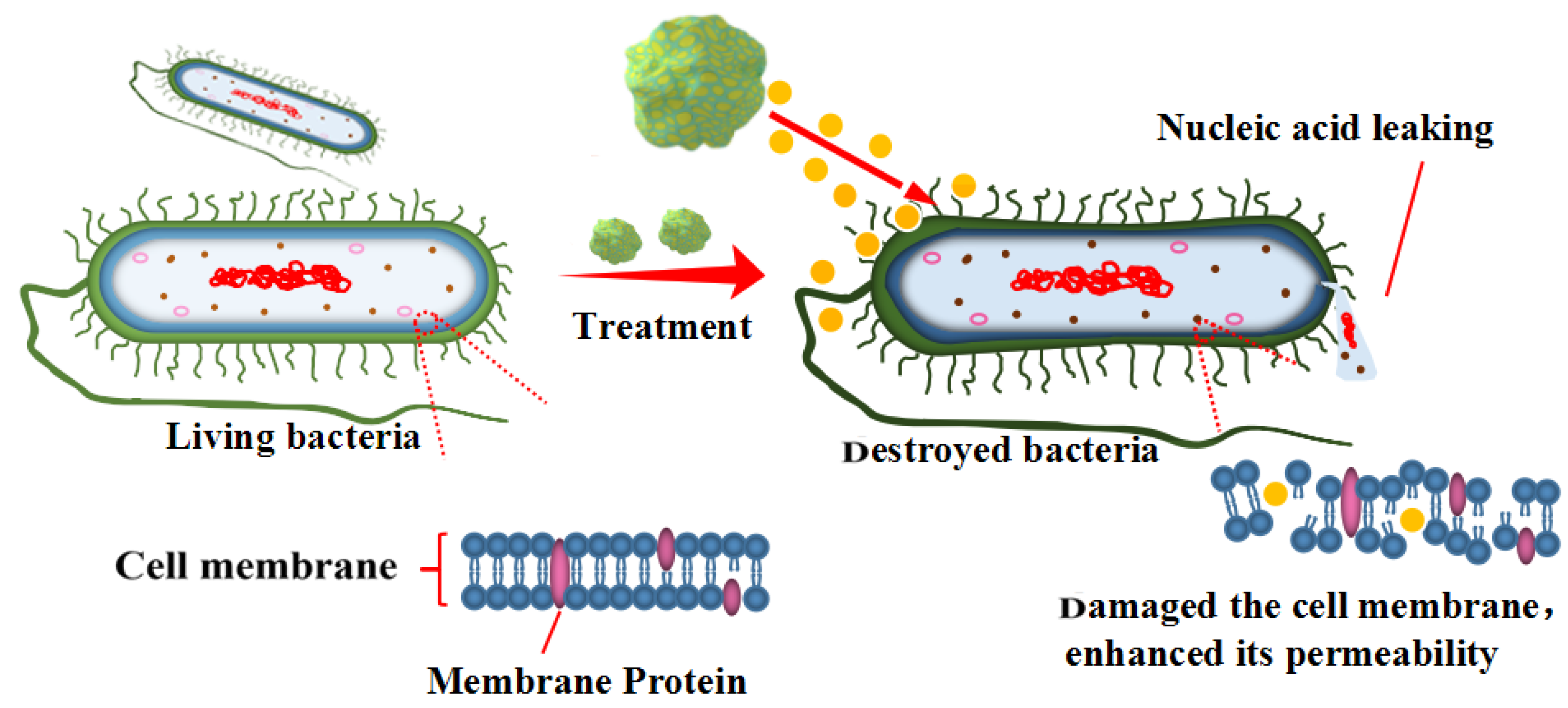 Molecules 28 00594 g011 Molecules 28 00594 g011