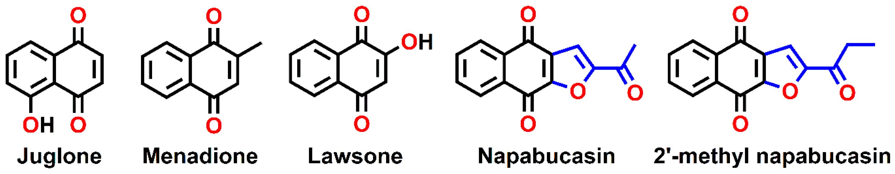 Molecules 28 00597 g001