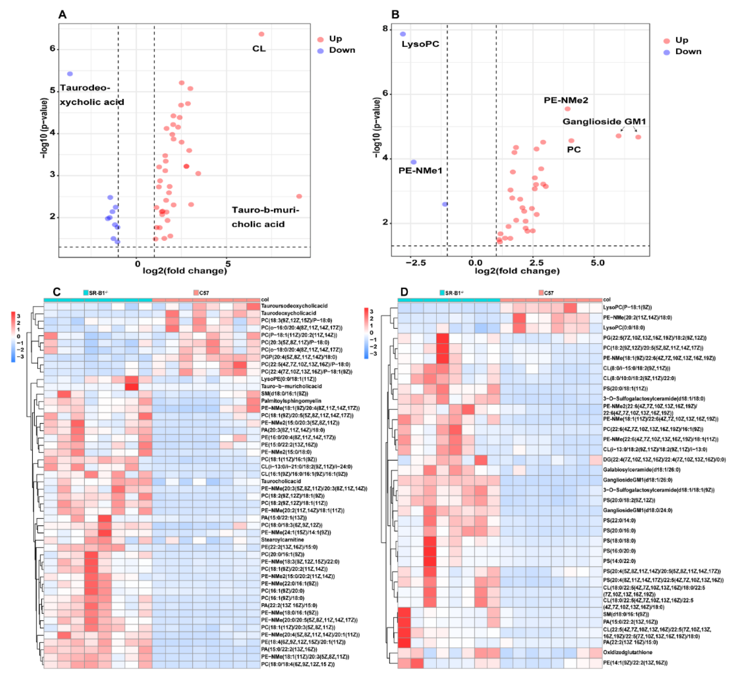 Molecules 28 00610 g003 Molecules 28 00610 g003