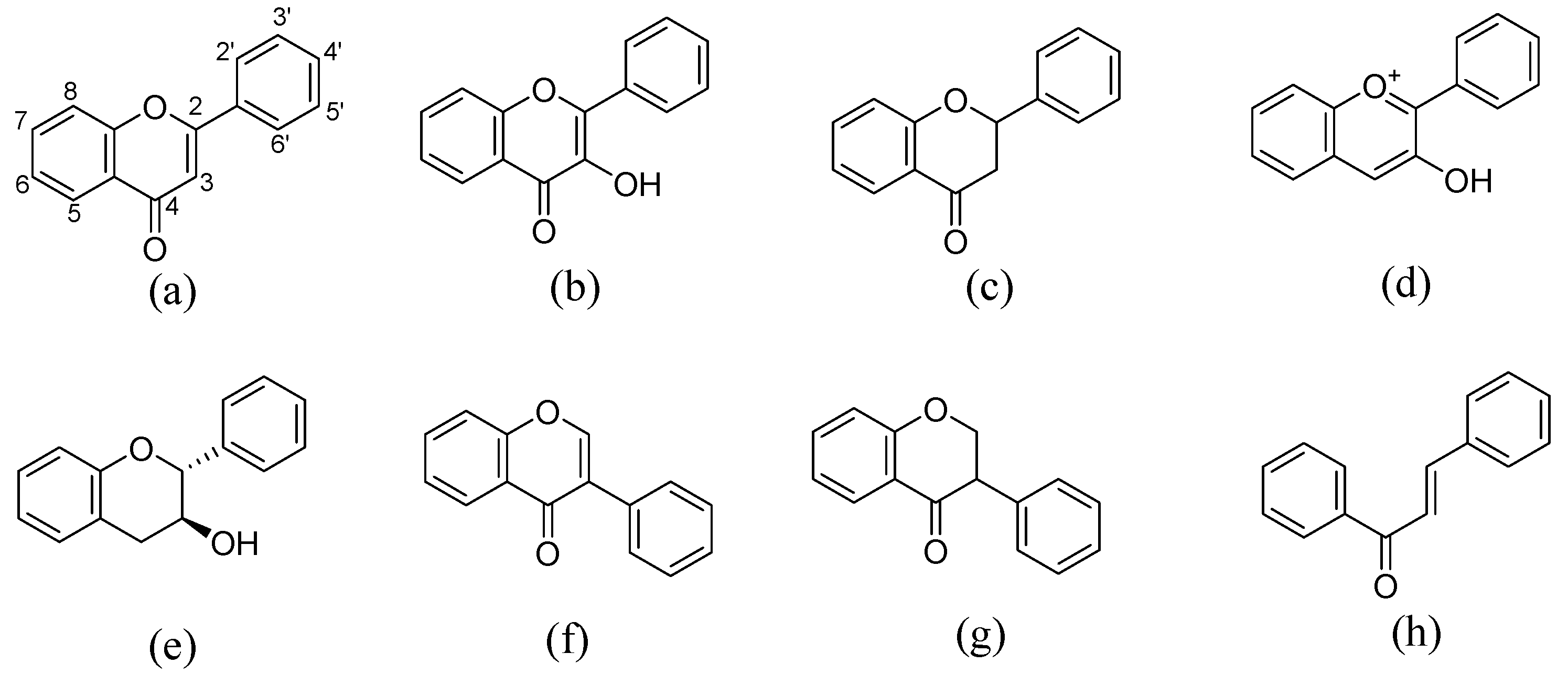 Molecules 28 00613 g001 Molecules 28 00613 g001