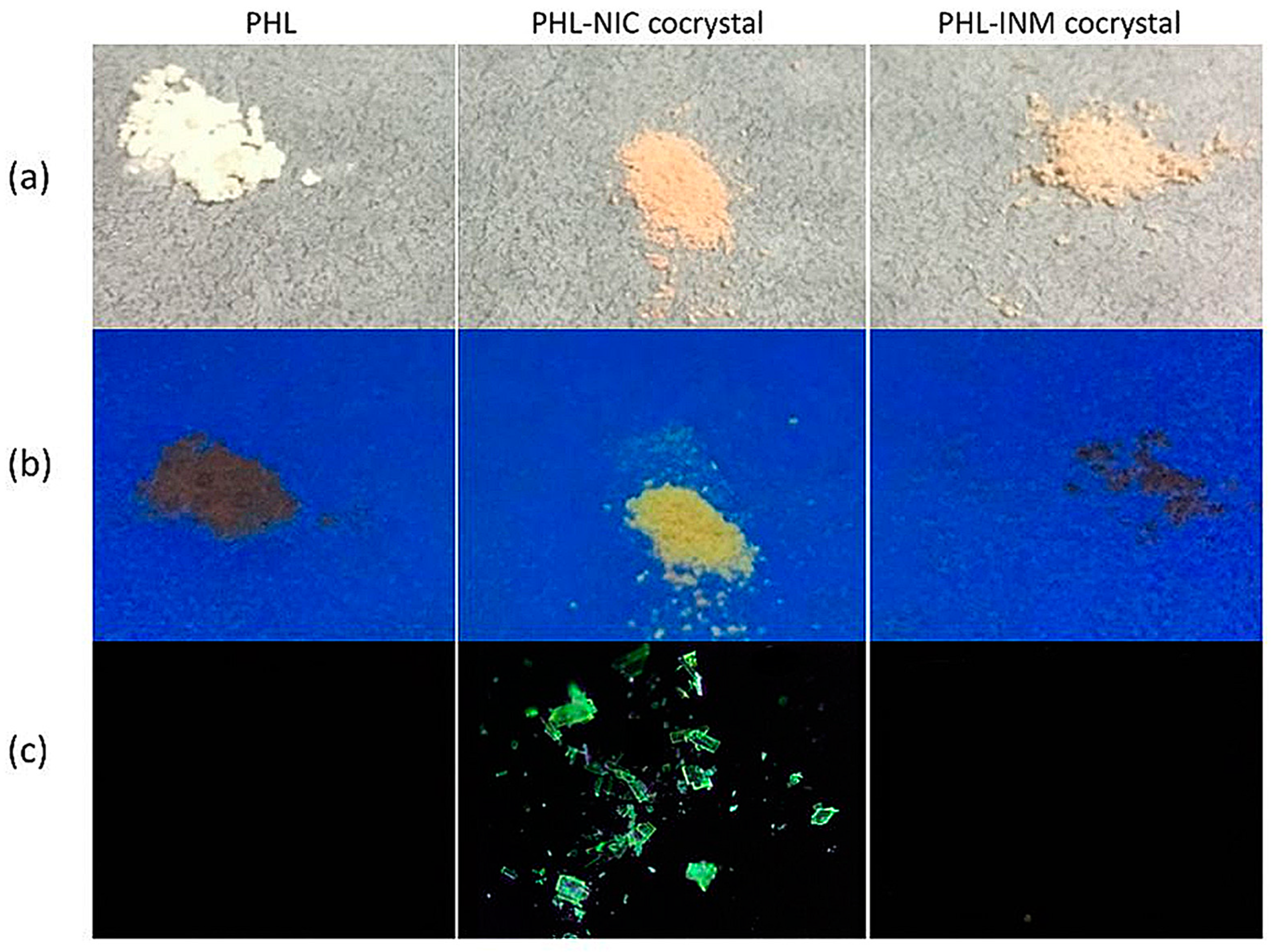 Molecules 28 00613 g015 Molecules 28 00613 g015