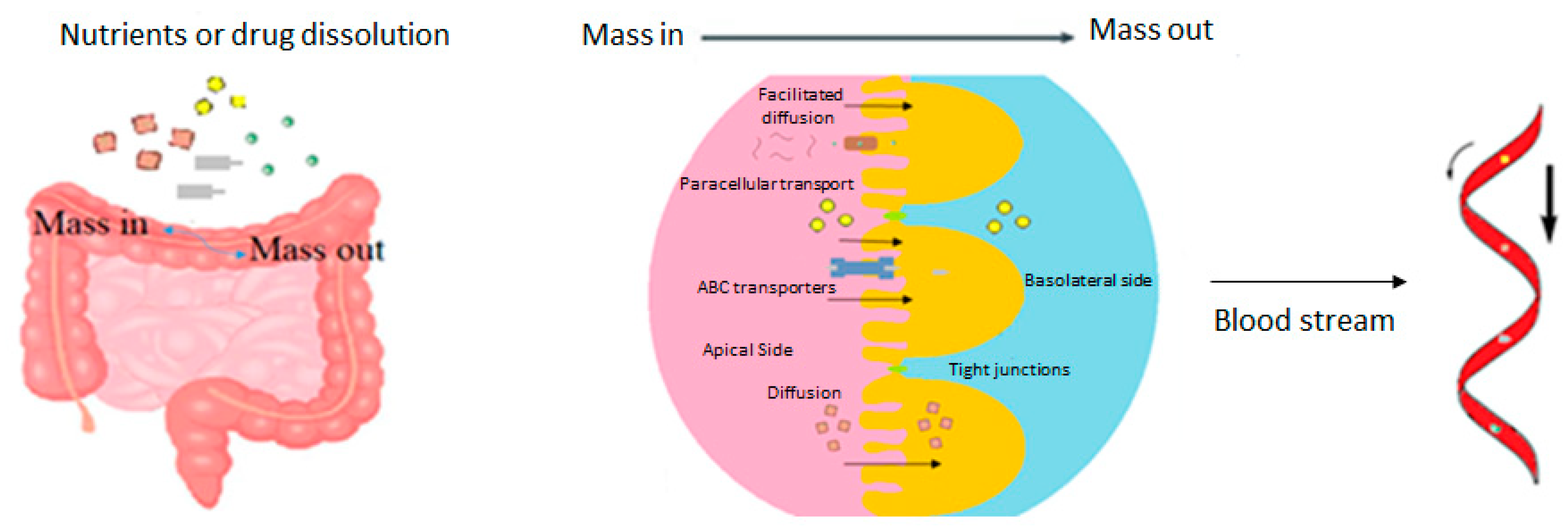 Leaky Gut and the Ingredients That Help Treat It: A Review