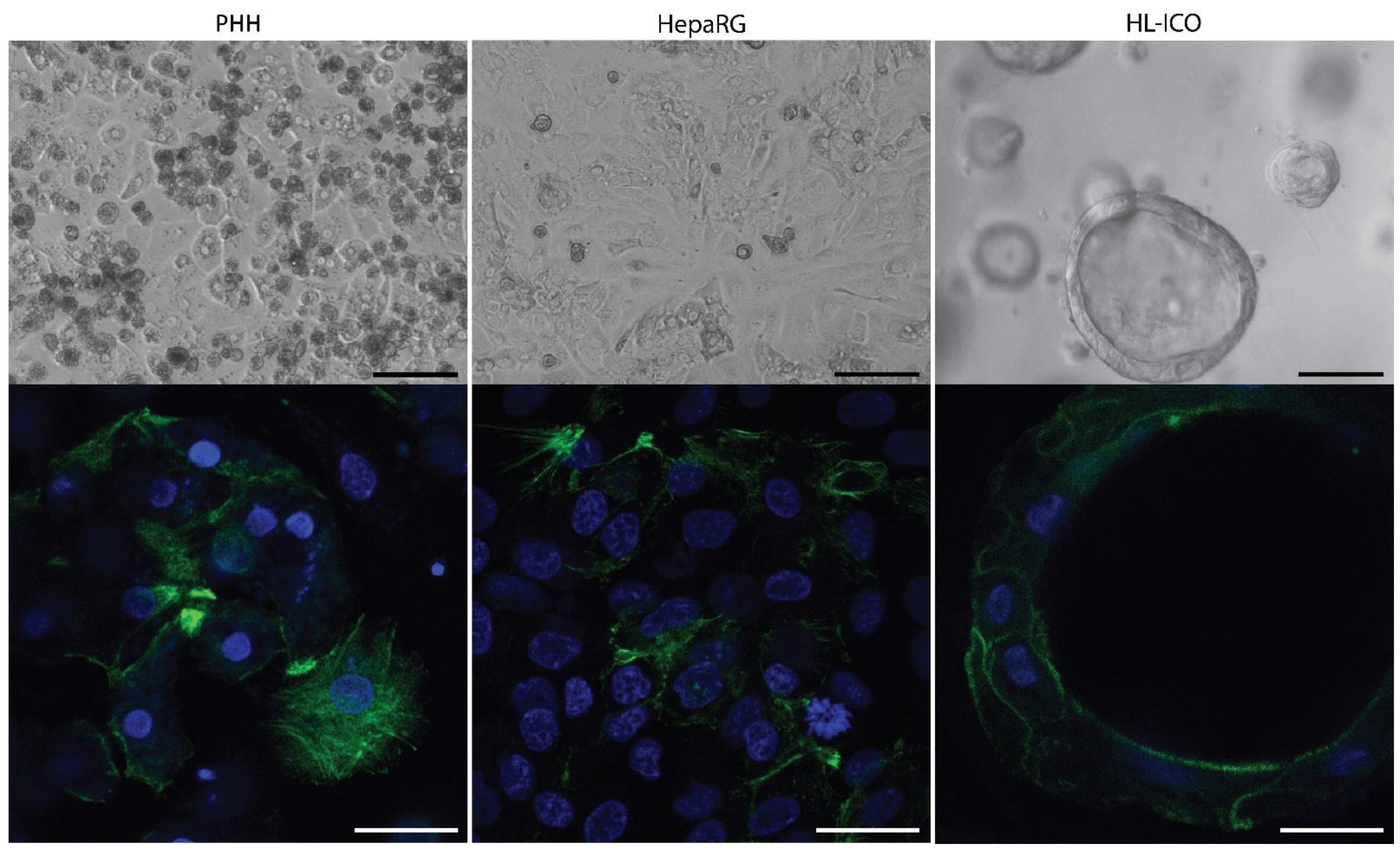 Molecules 28 00621 g001 Molecules 28 00621 g001