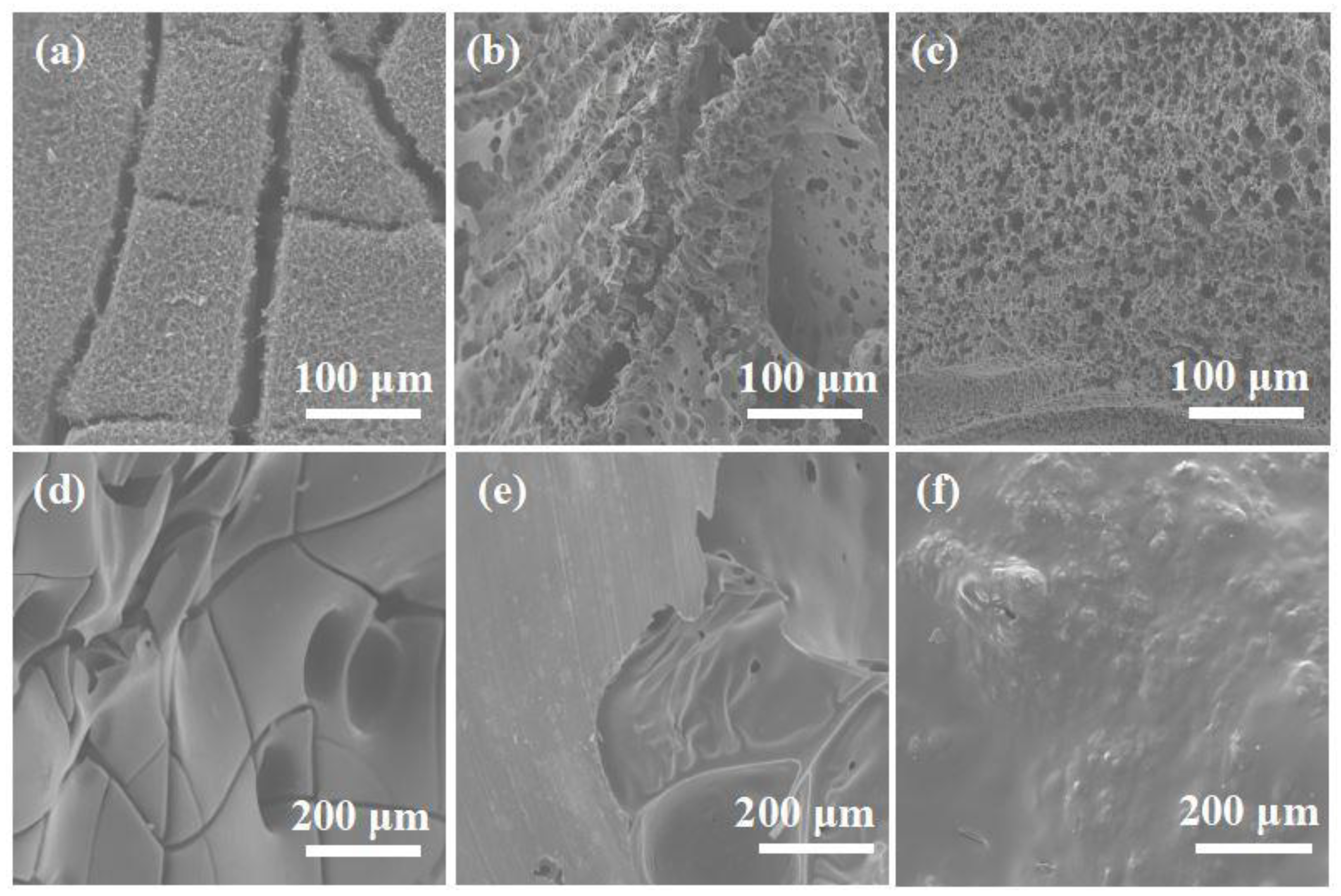 Molecules 28 00623 g006 Molecules 28 00623 g006