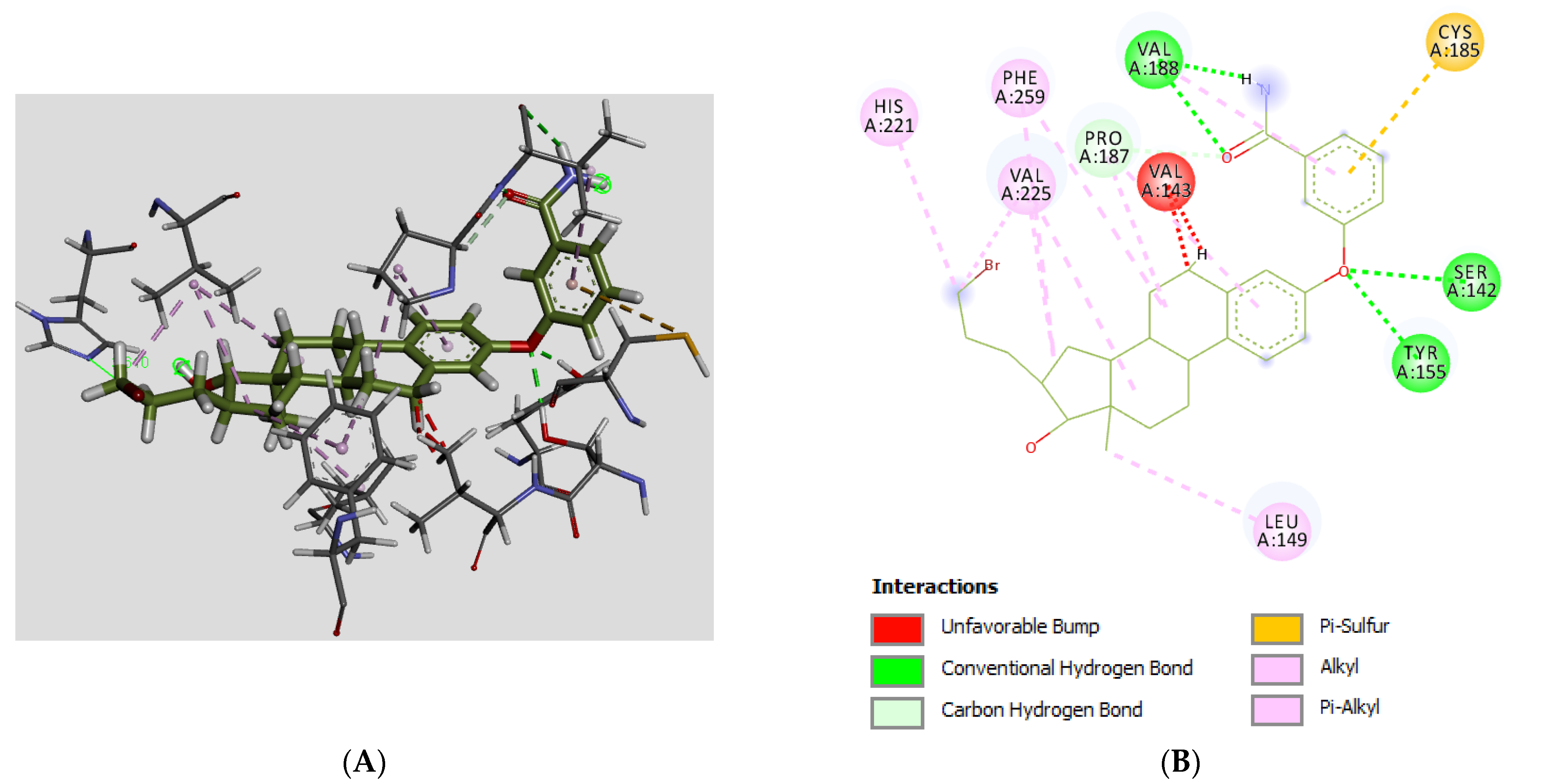 Molecules 28 00632 g006a Molecules 28 00632 g006a