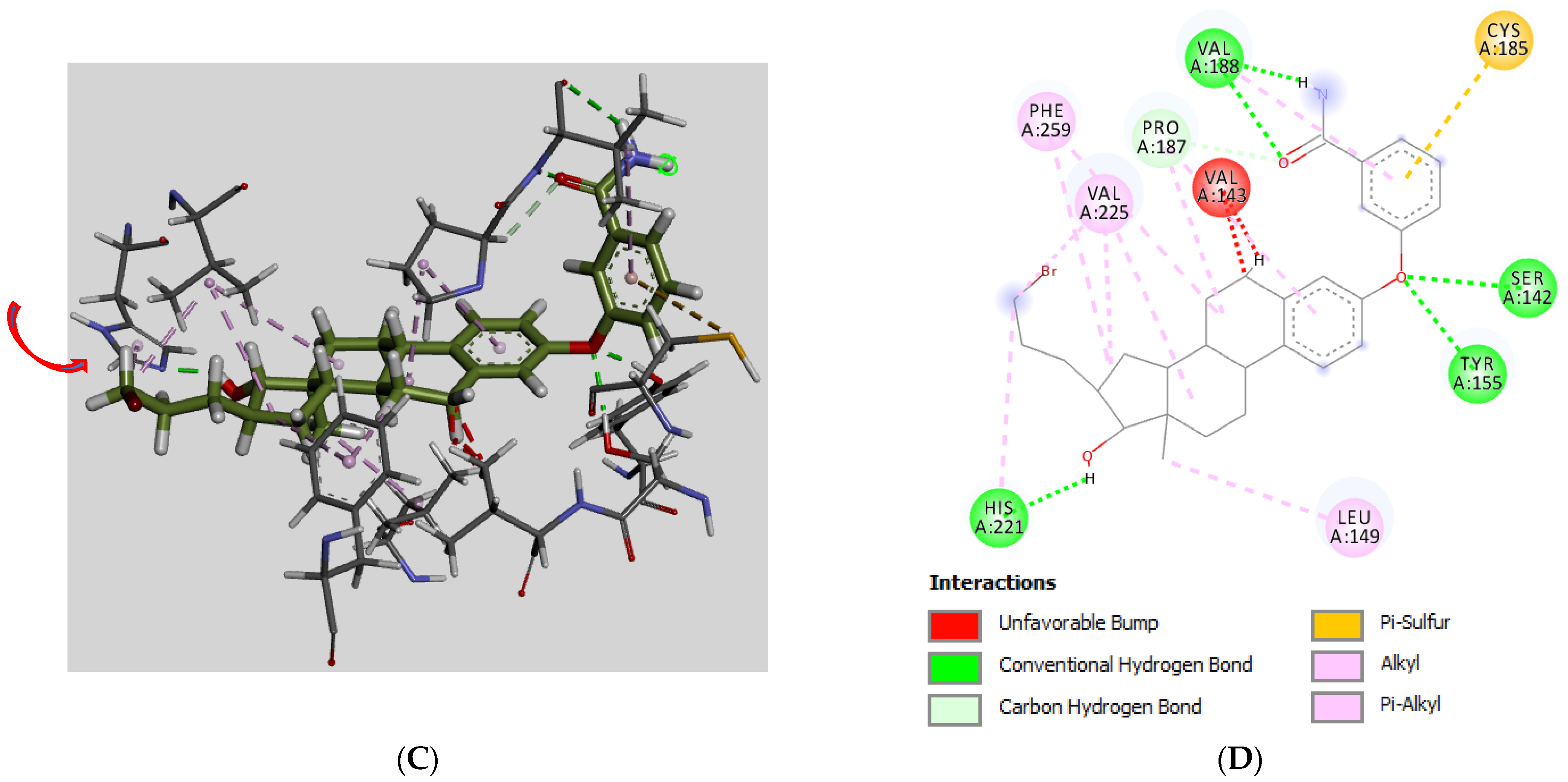 Molecules 28 00632 g006b Molecules 28 00632 g006b