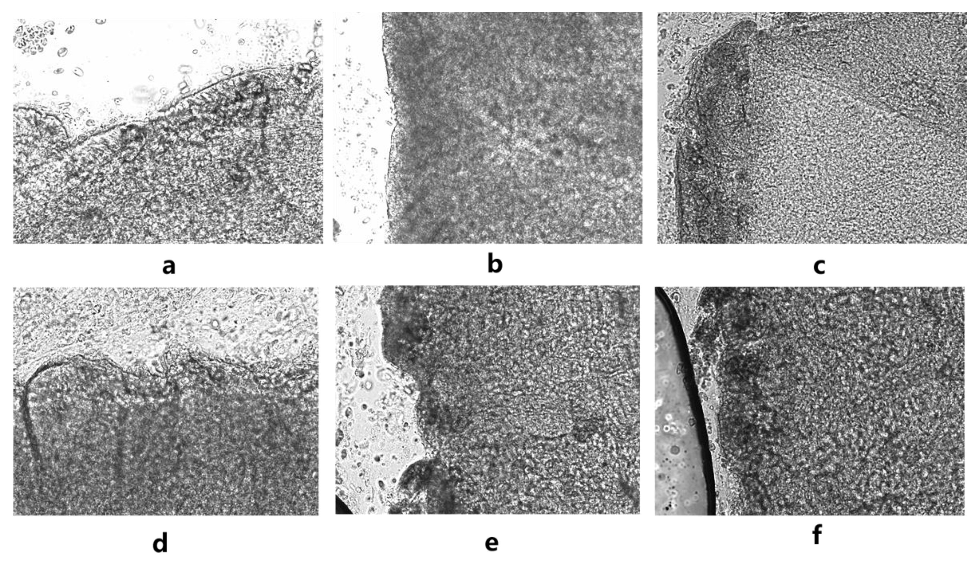 Molecules 28 00635 g005 Molecules 28 00635 g005