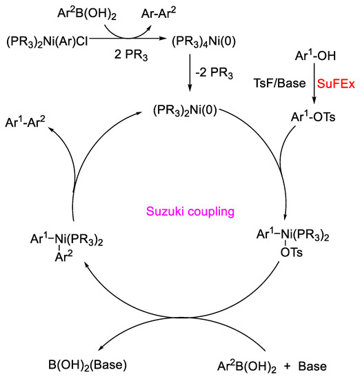 Molecules Free FullText NickelCatalyzed Suzuki Coupling of
