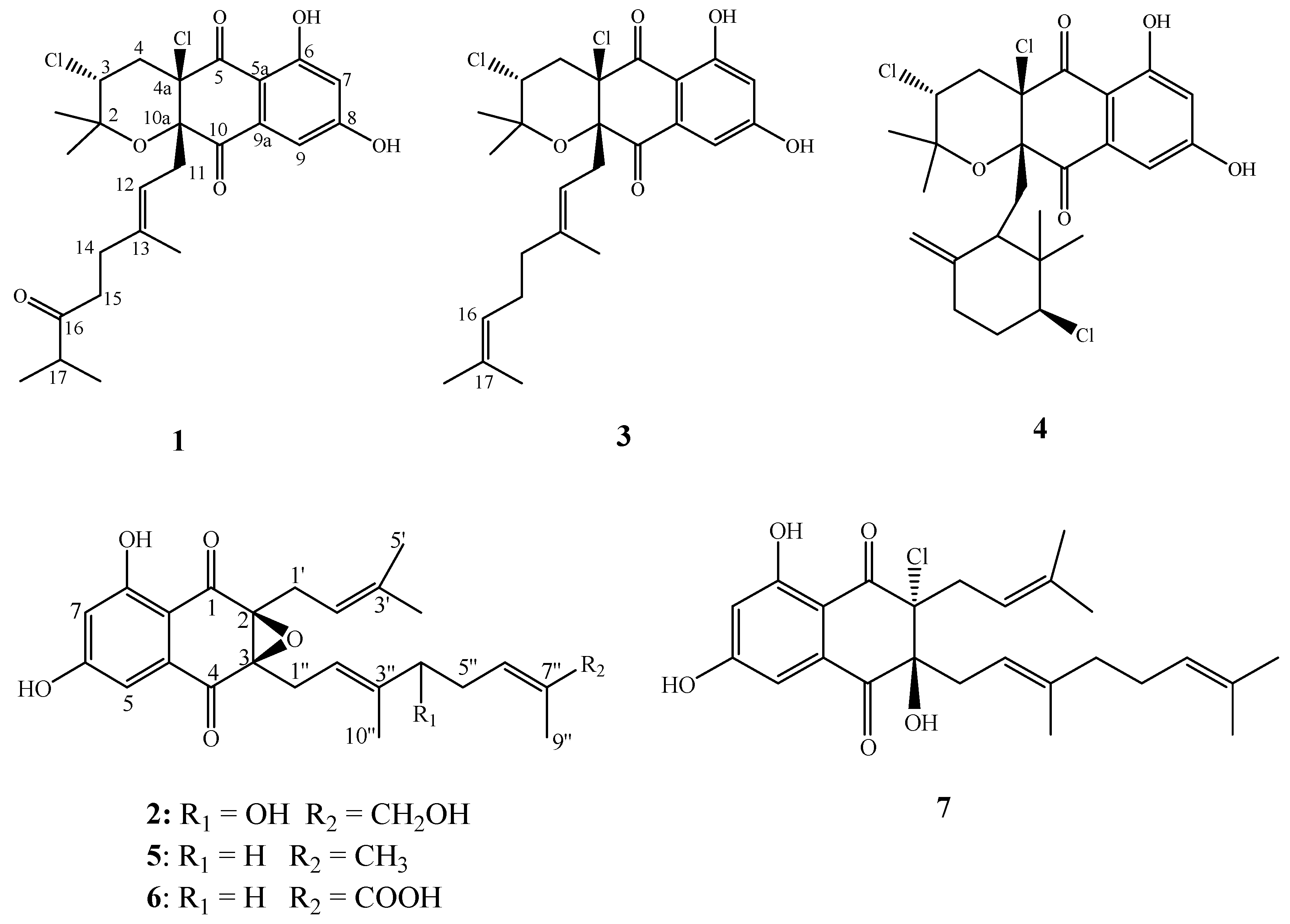 Molecules 28 00640 g001