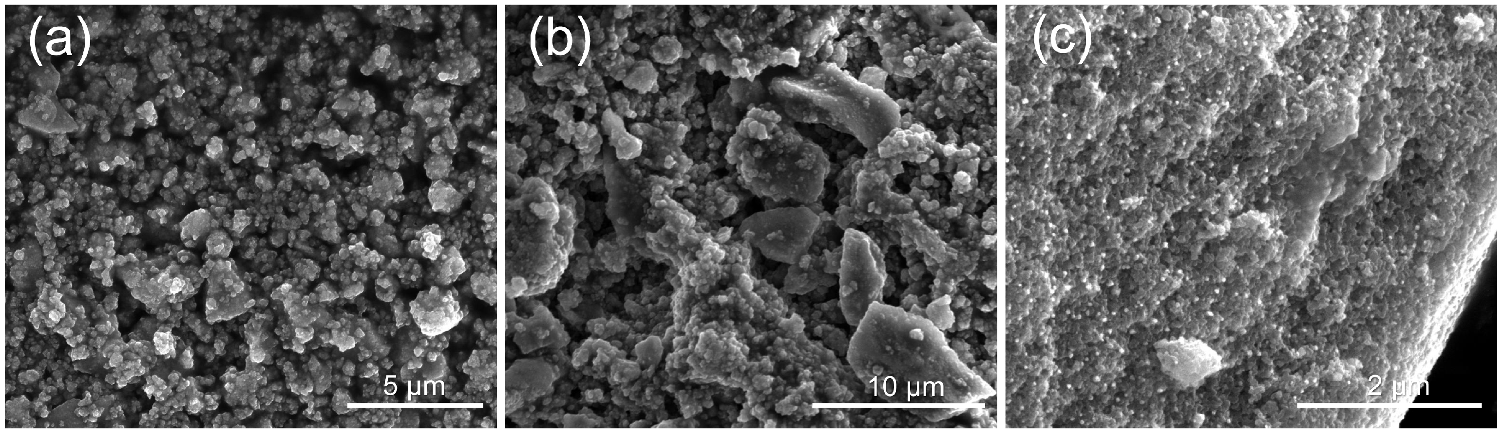 Molecules 28 00645 g002 Molecules 28 00645 g002