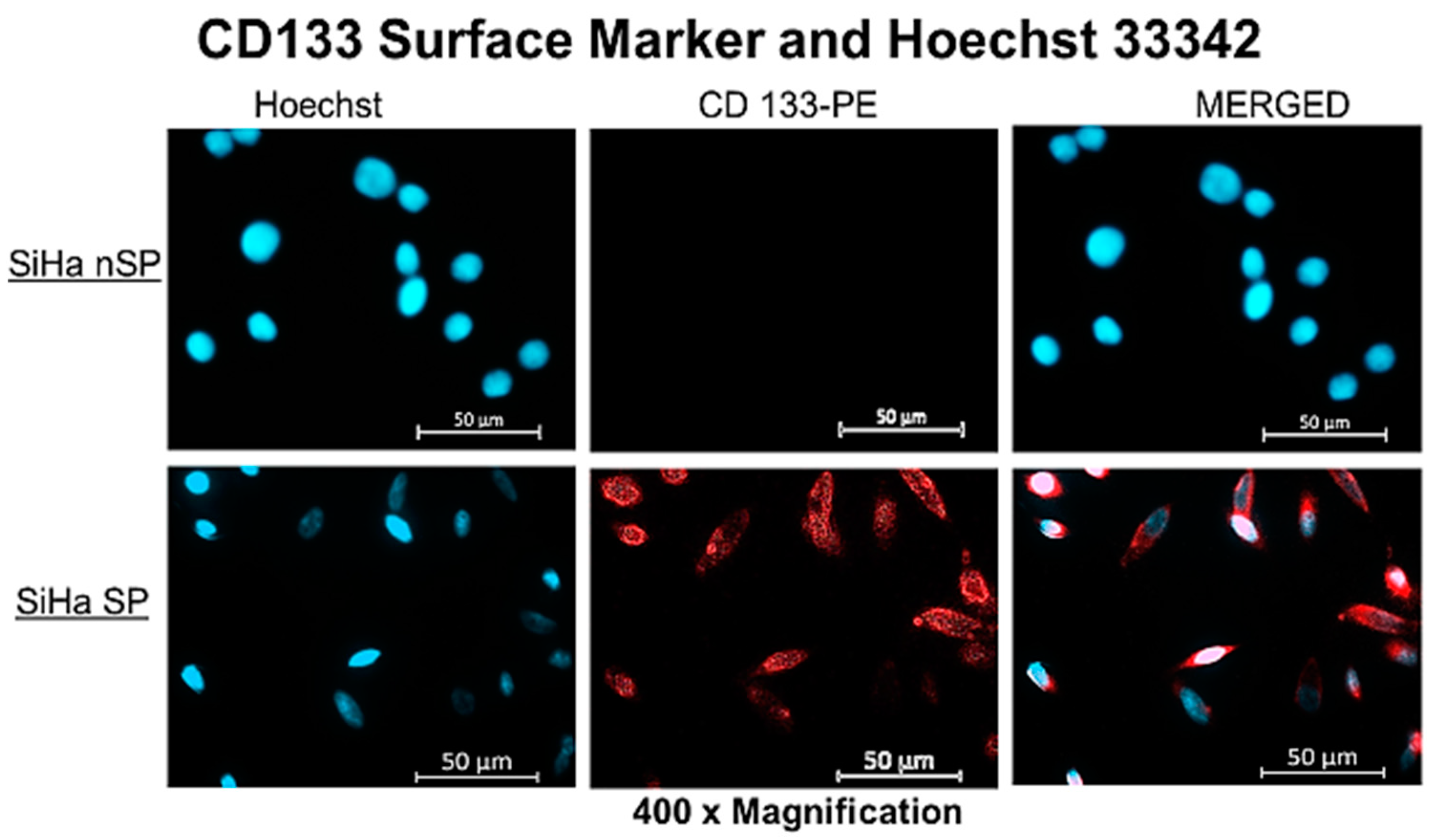 Molecules 28 00647 g001