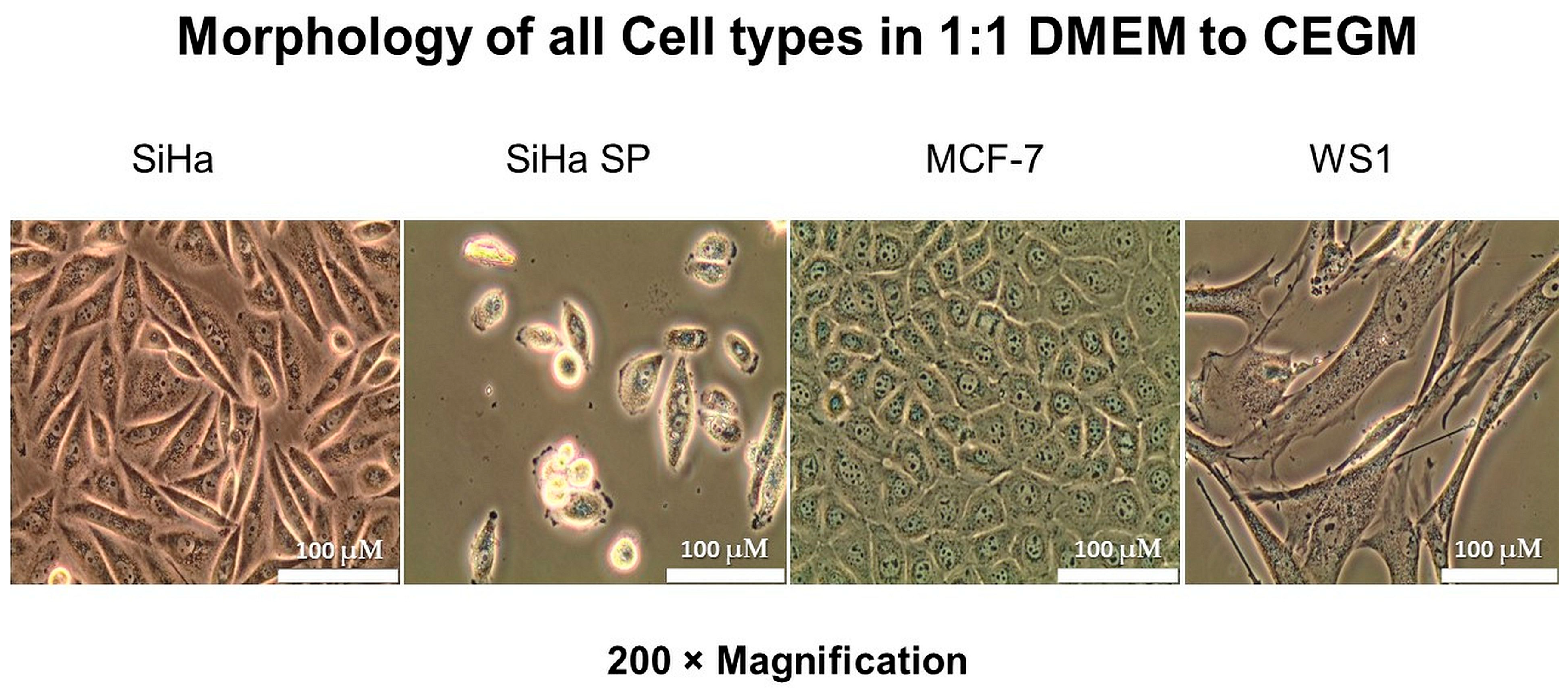 Molecules 28 00647 g003