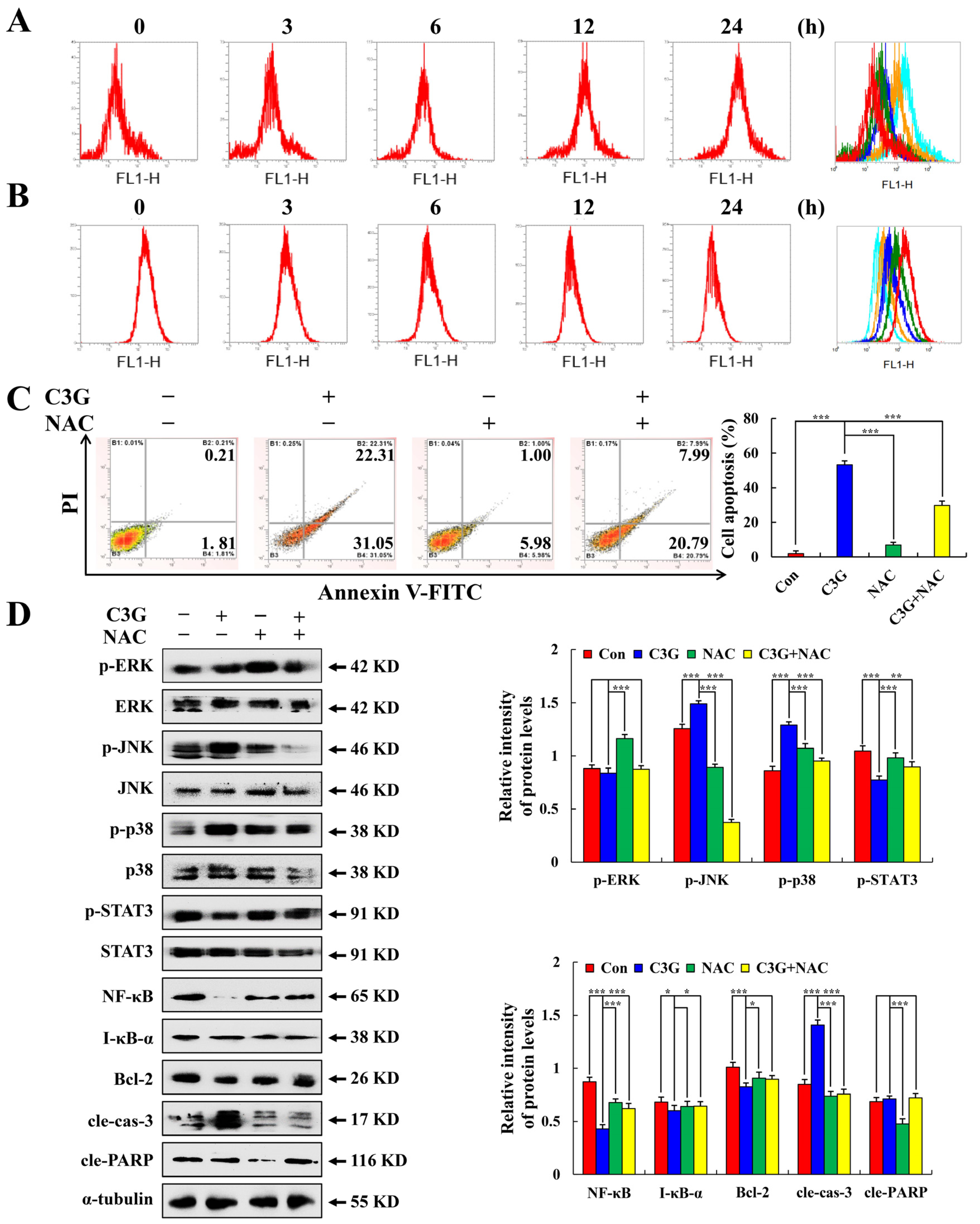 Molecules 28 00652 g005 Molecules 28 00652 g005