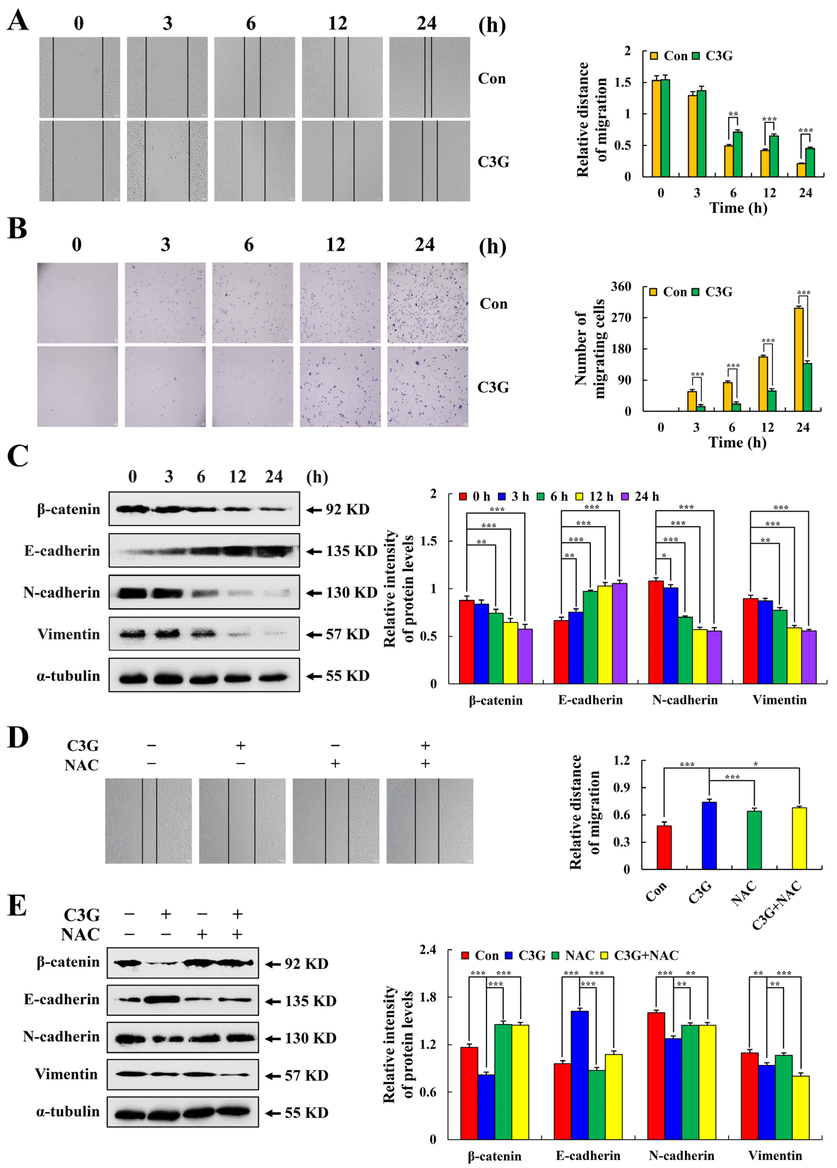 Molecules 28 00652 g007 Molecules 28 00652 g007