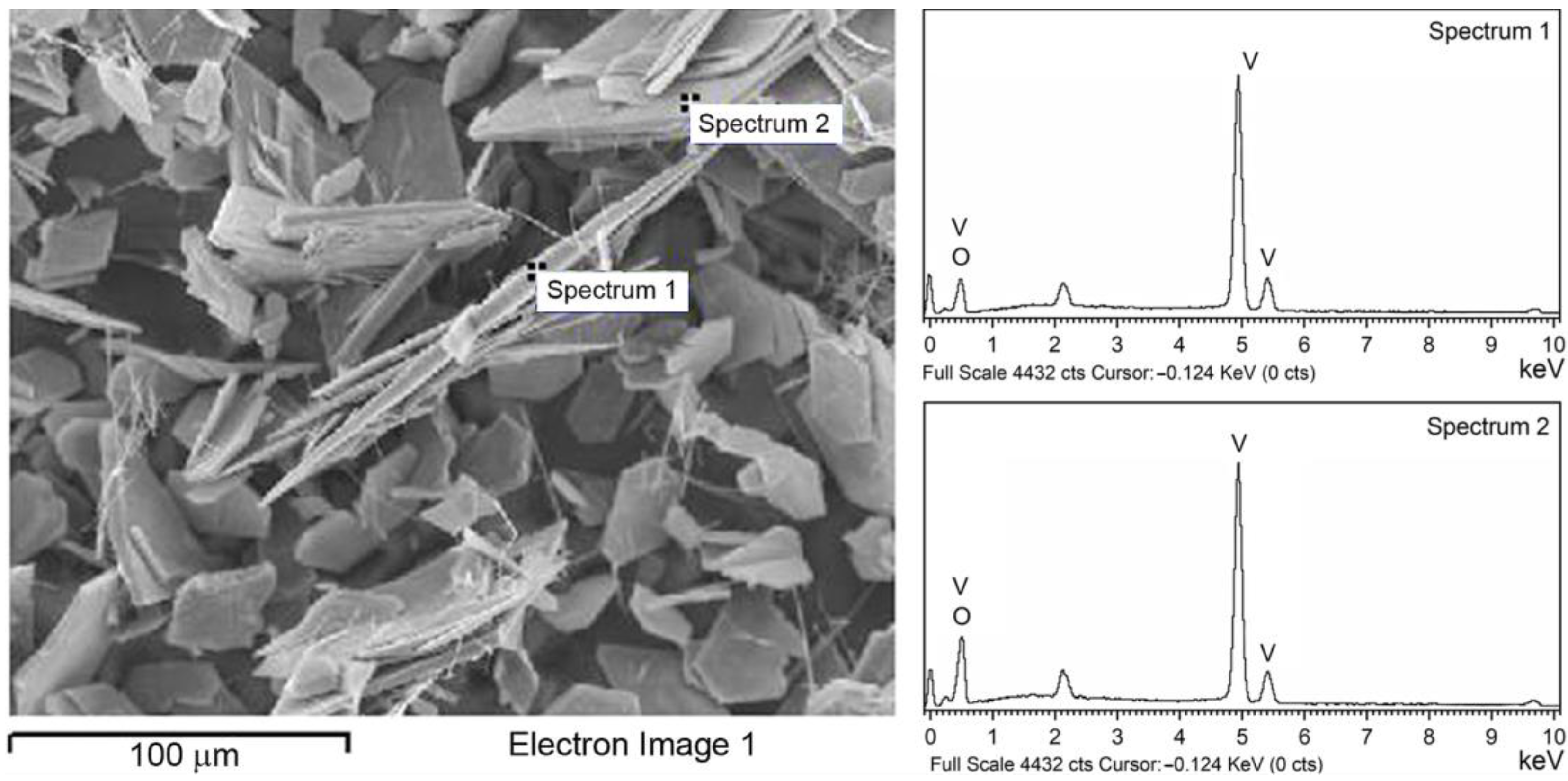 Molecules 28 00655 g004 Molecules 28 00655 g004