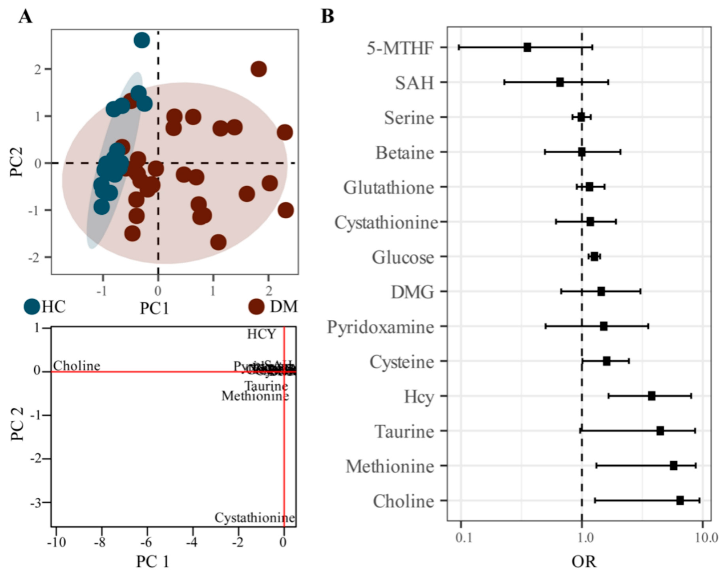 6/25専用ページ Profiling of Homocysteine Metabolic Pathway Related