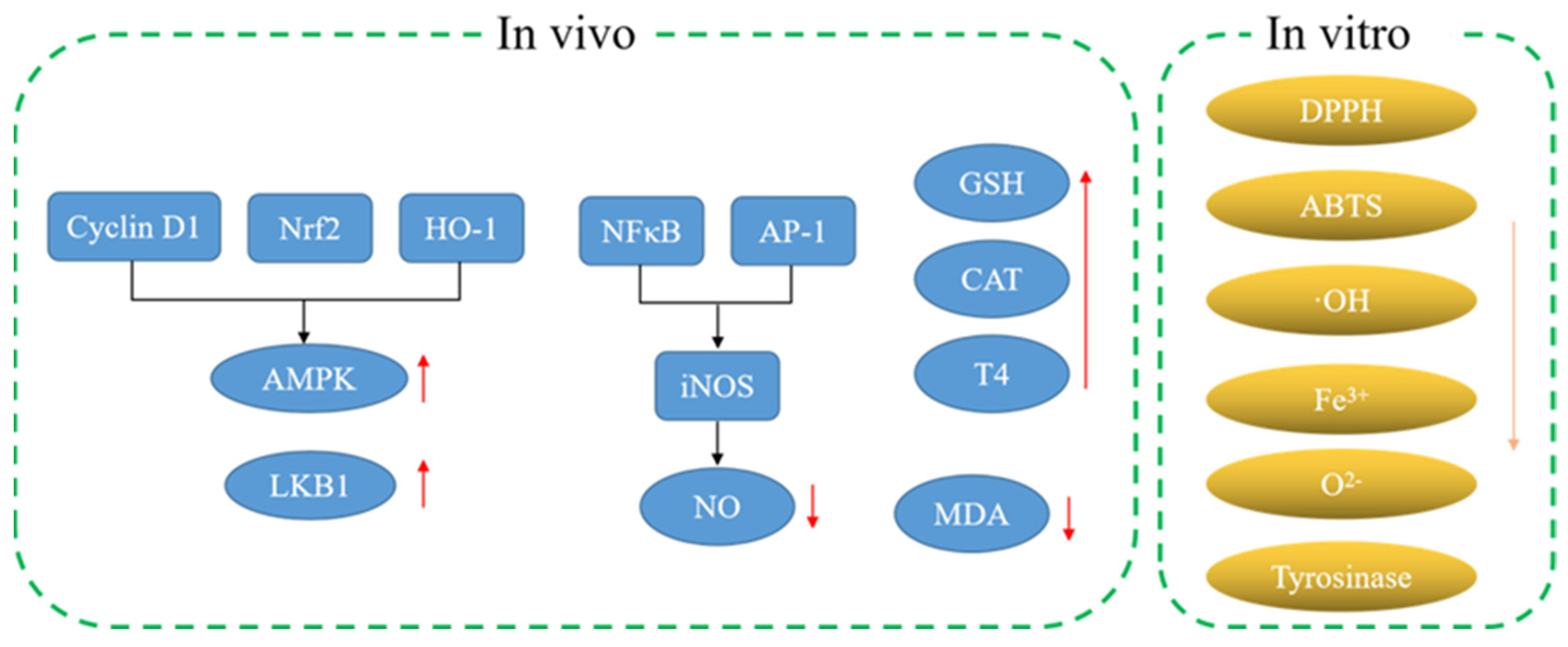 Molecules 28 00658 g002