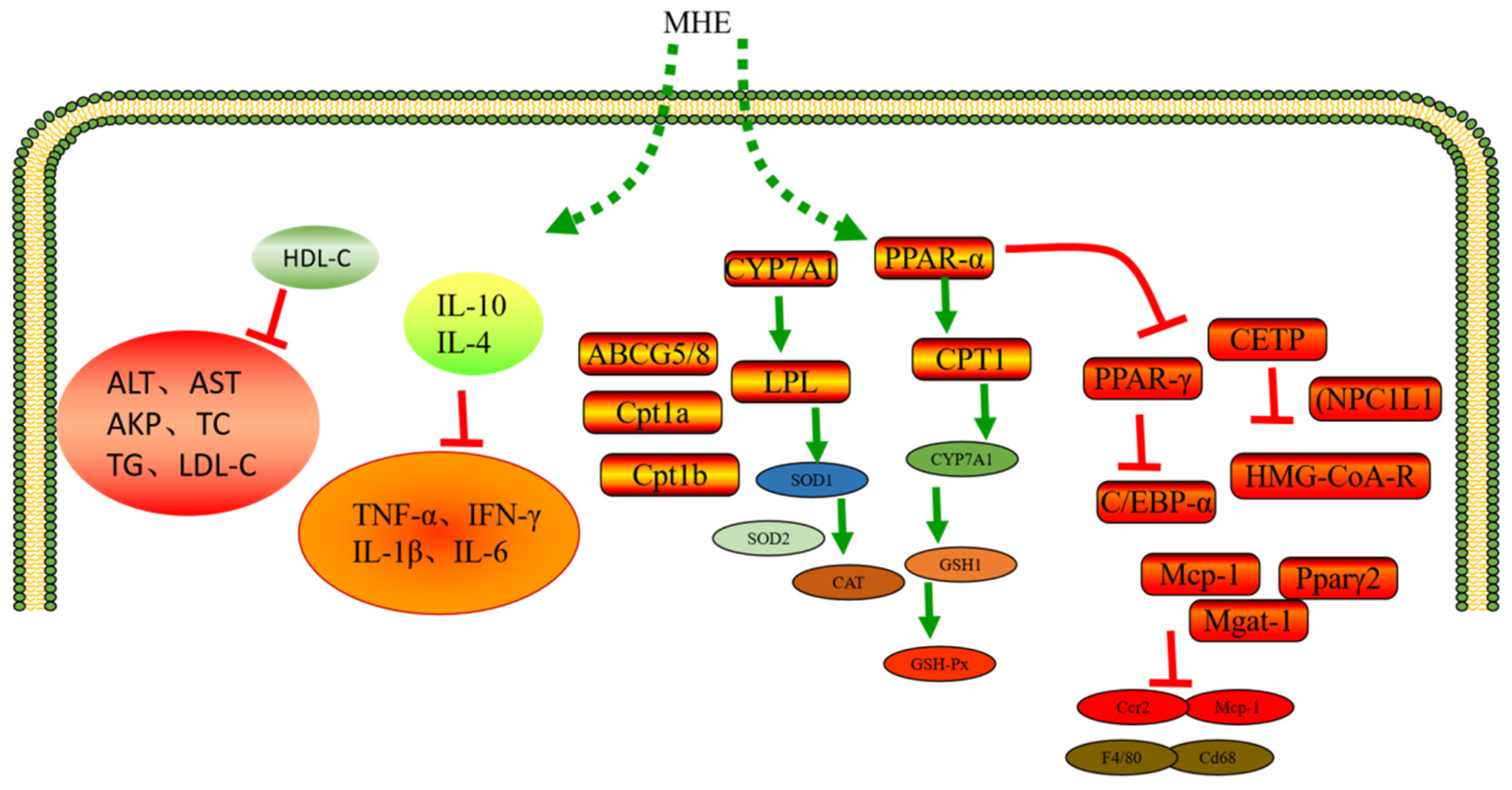 Molecules 28 00658 g005