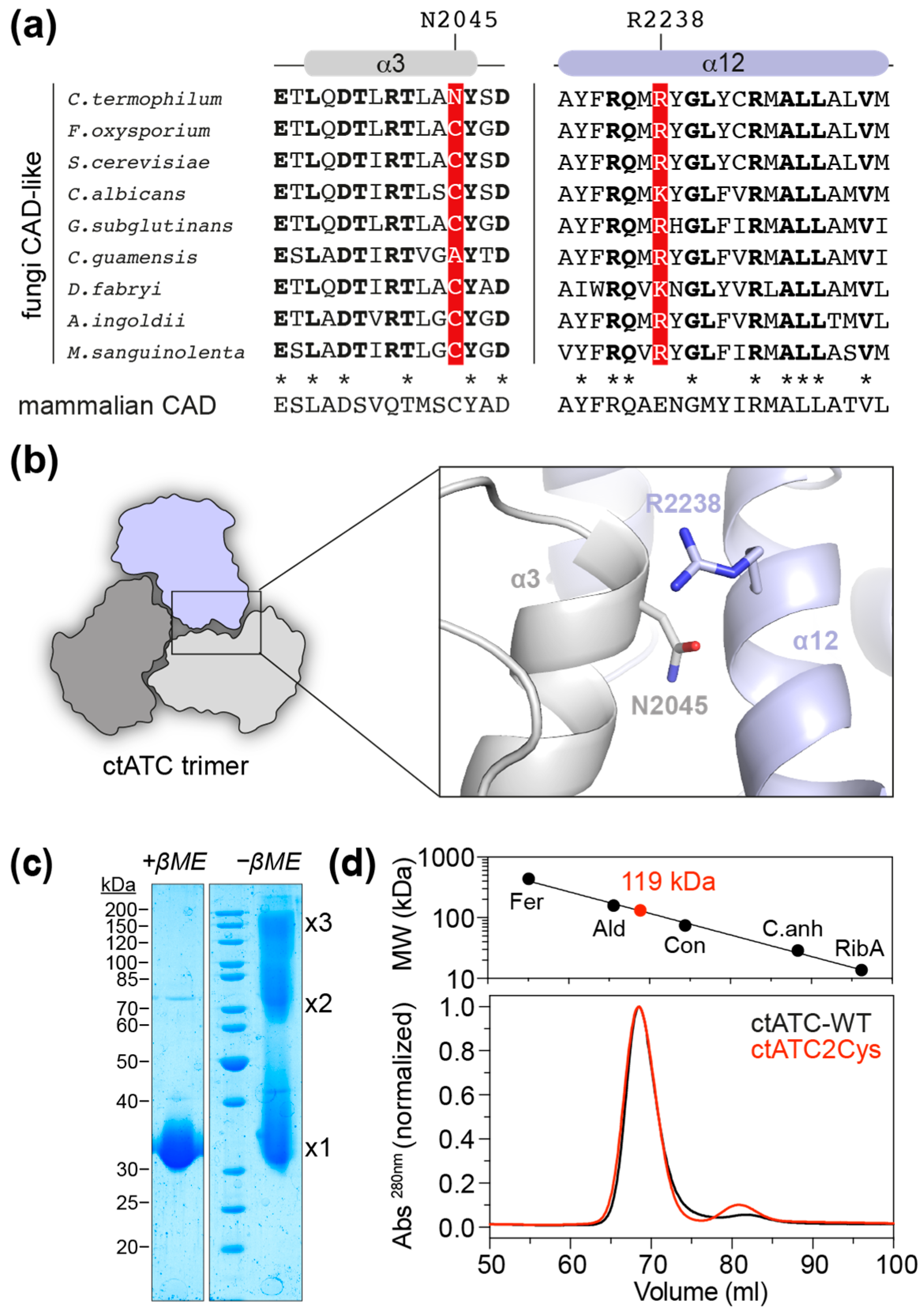 Molecules 28 00660 g002