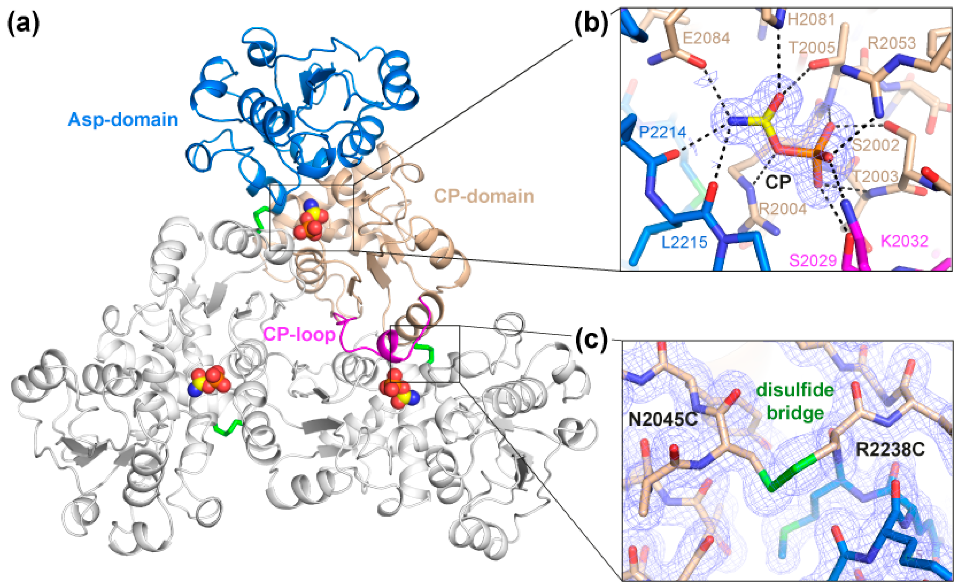 Molecules 28 00660 g003