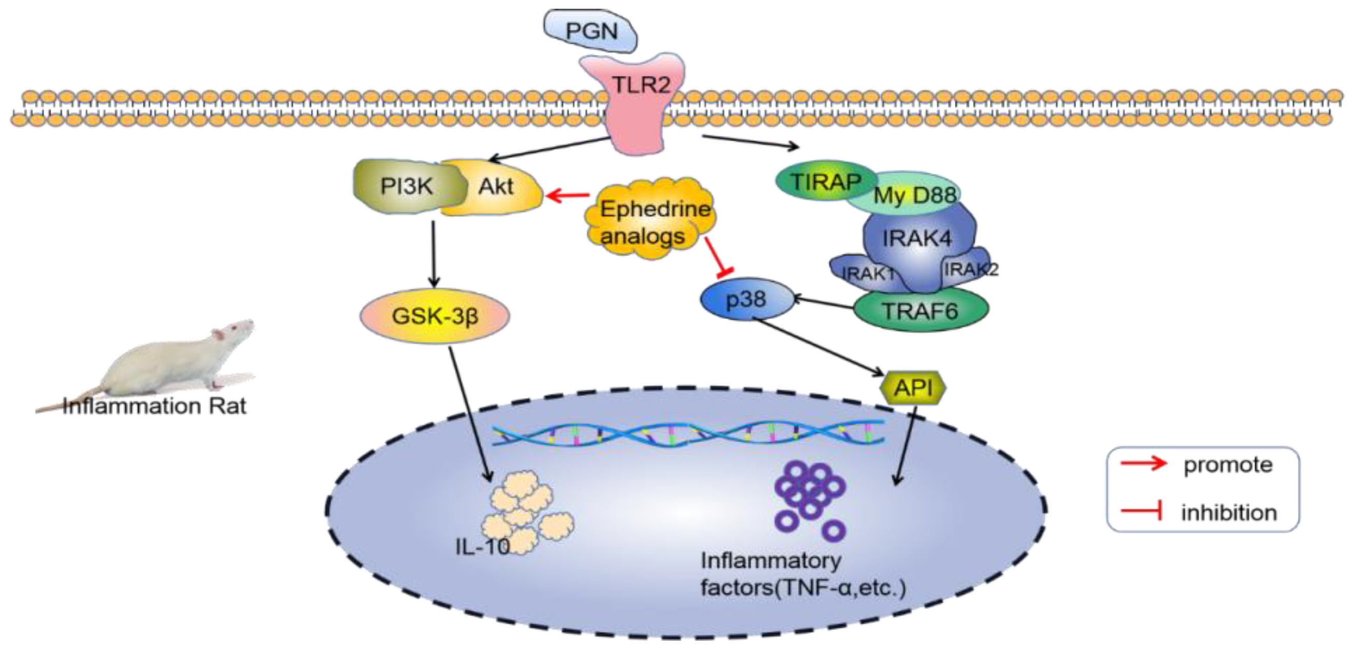 Molecules 28 00663 g003 Molecules 28 00663 g003