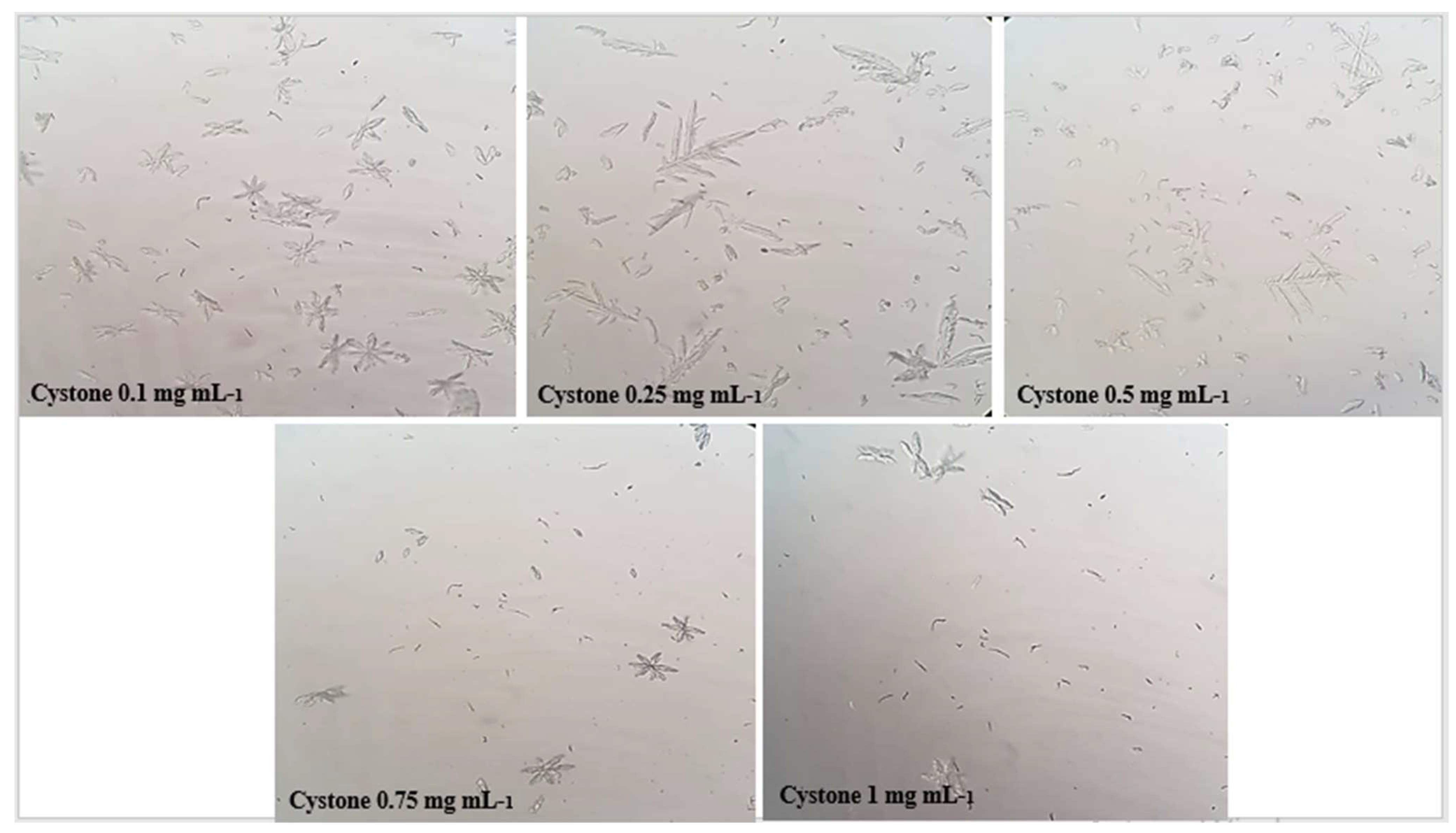 Molecules 28 00667 g004 Molecules 28 00667 g004