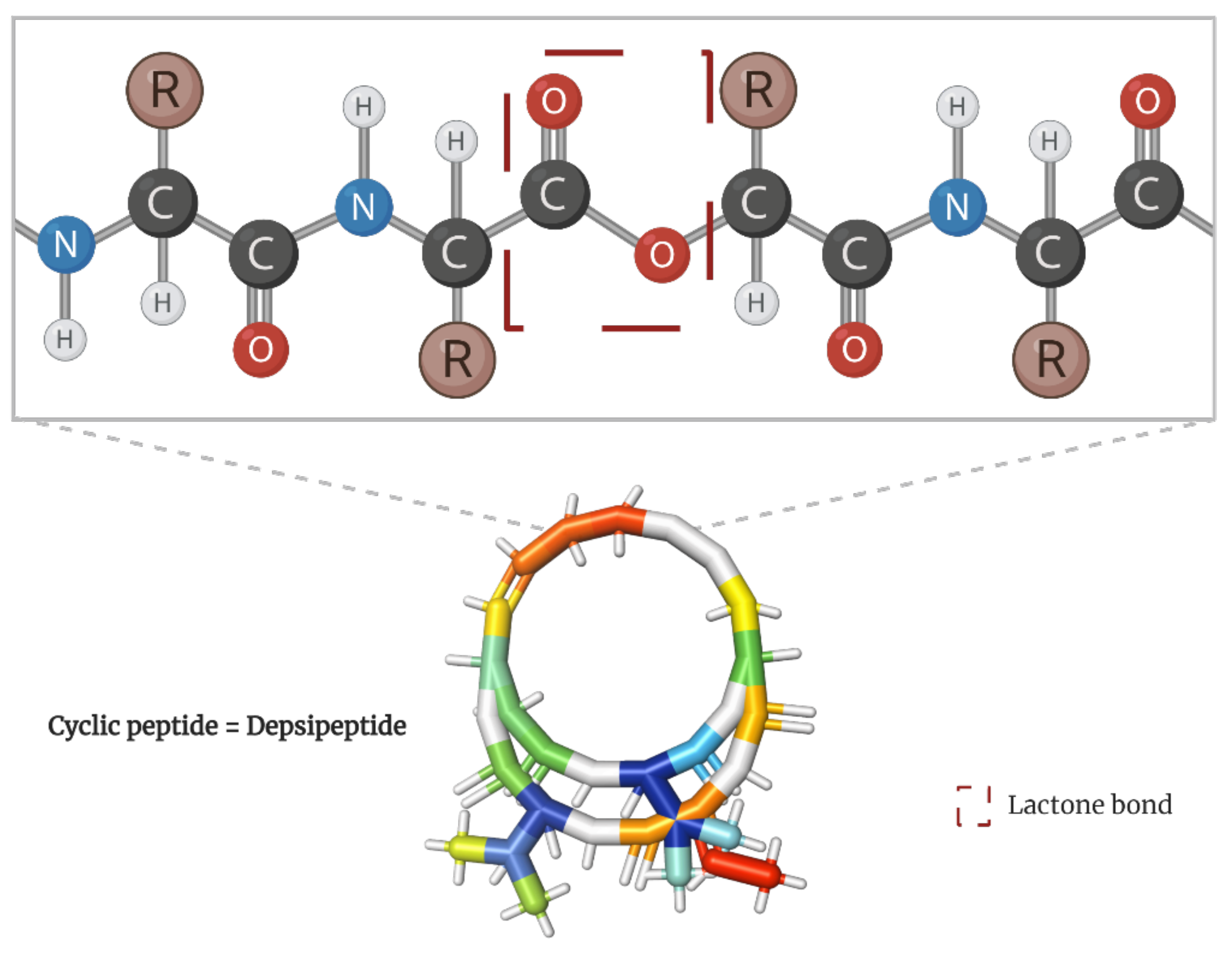 Molecules 28 00670 g001