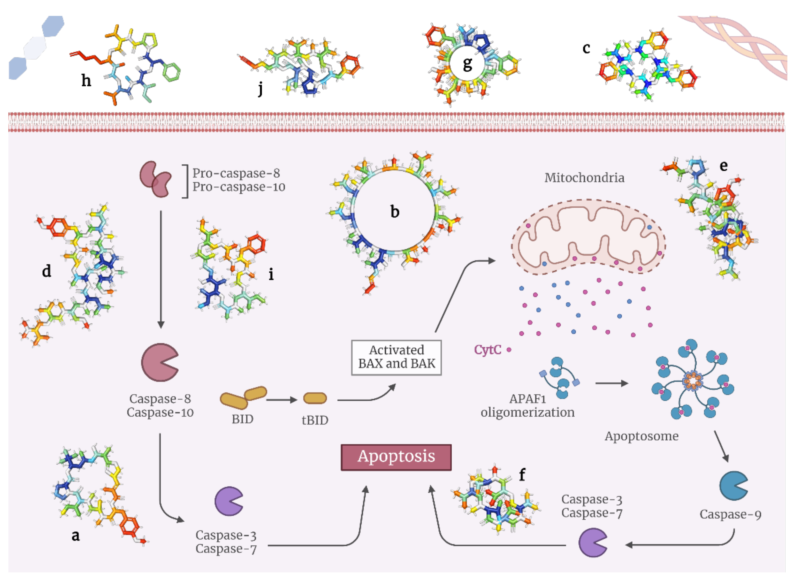 Molecules 28 00670 g002