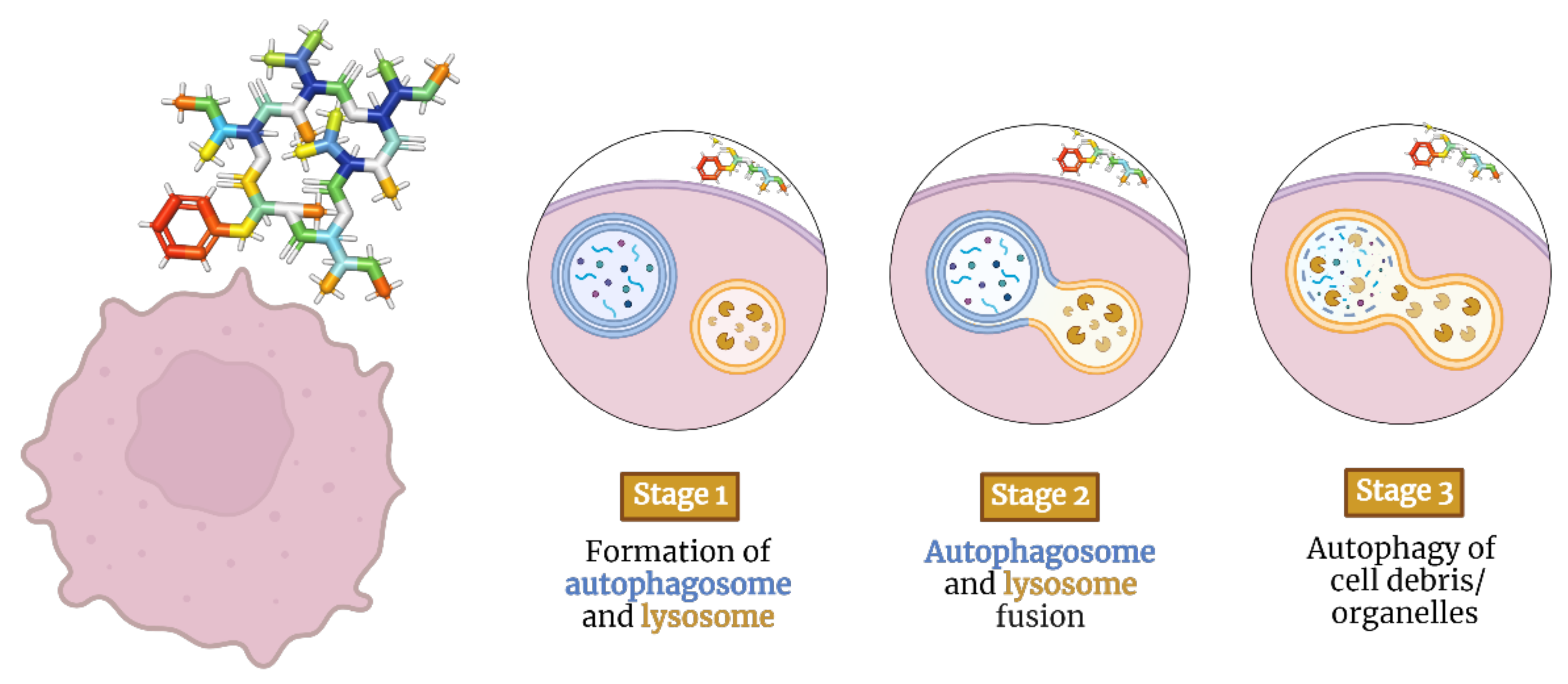 Molecules 28 00670 g003