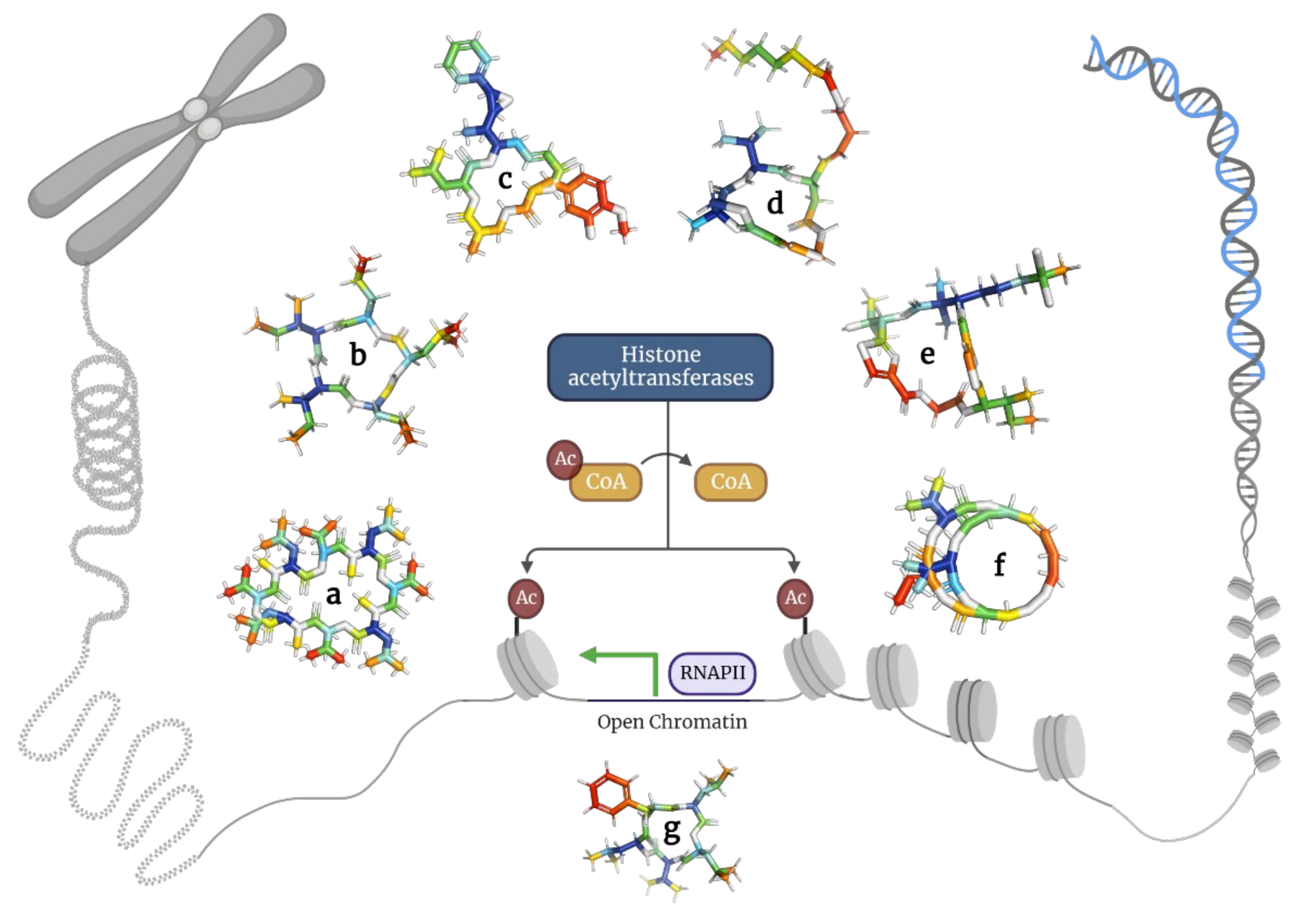 Molecules 28 00670 g005