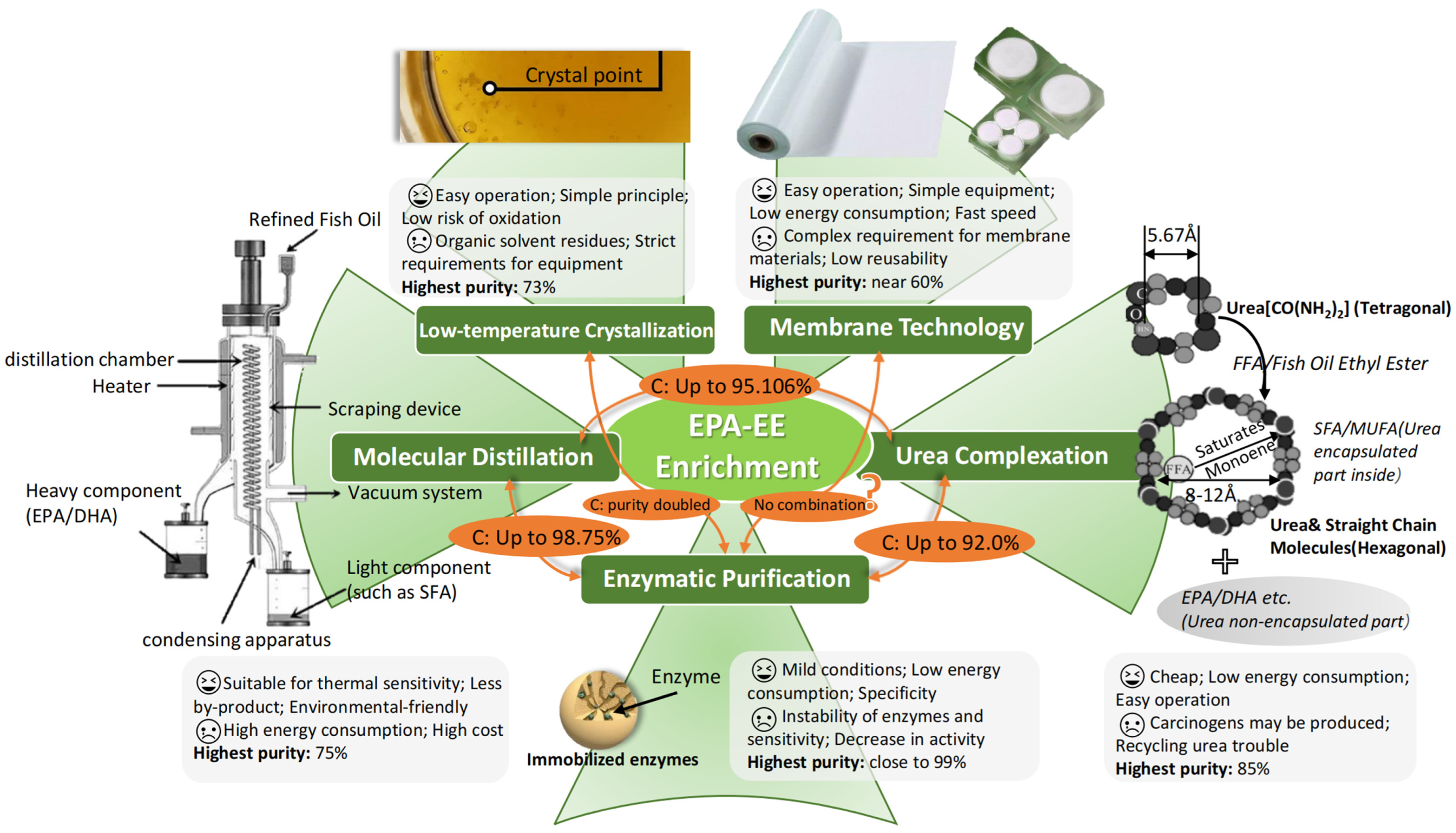 Molecules 28 00672 g003 Molecules 28 00672 g003