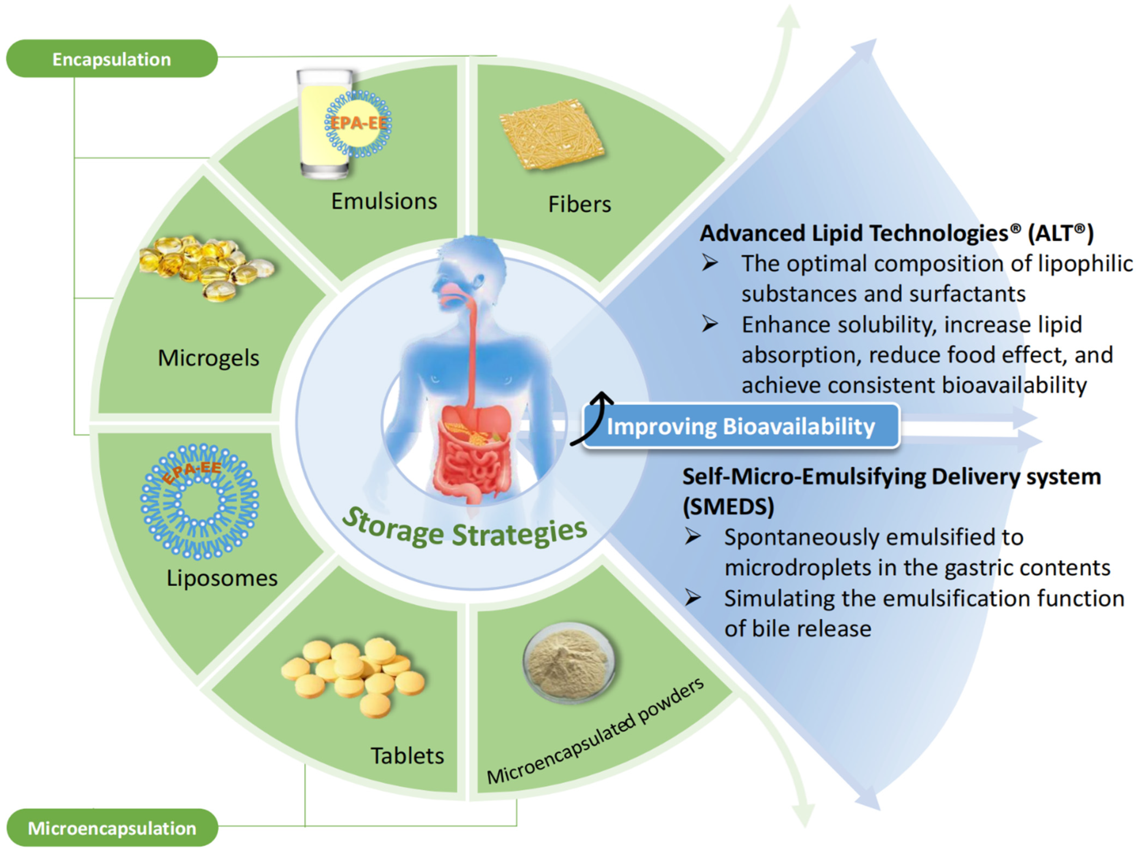 Molecules 28 00672 g004 Molecules 28 00672 g004