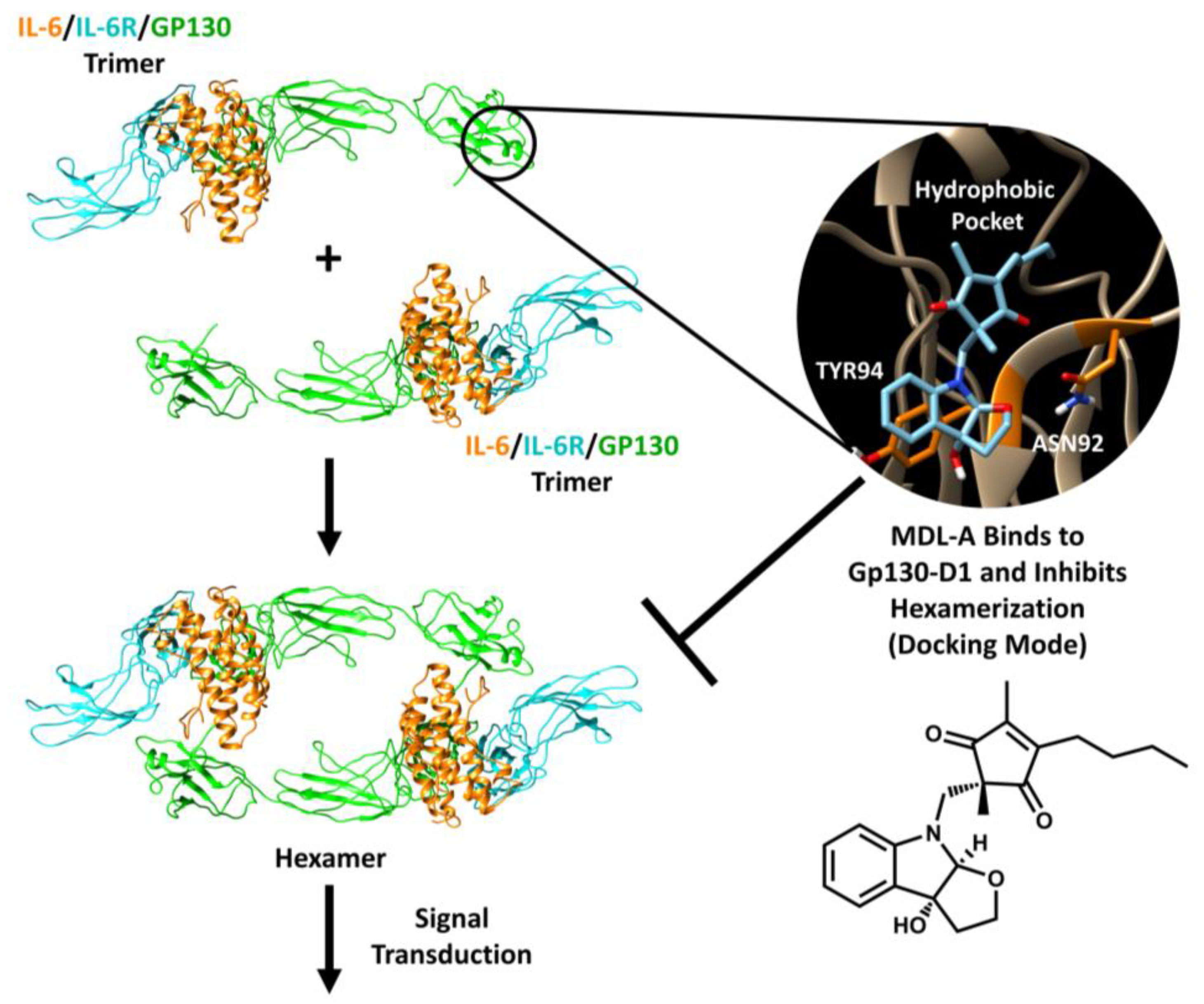 Molecules 28 00677 g002
