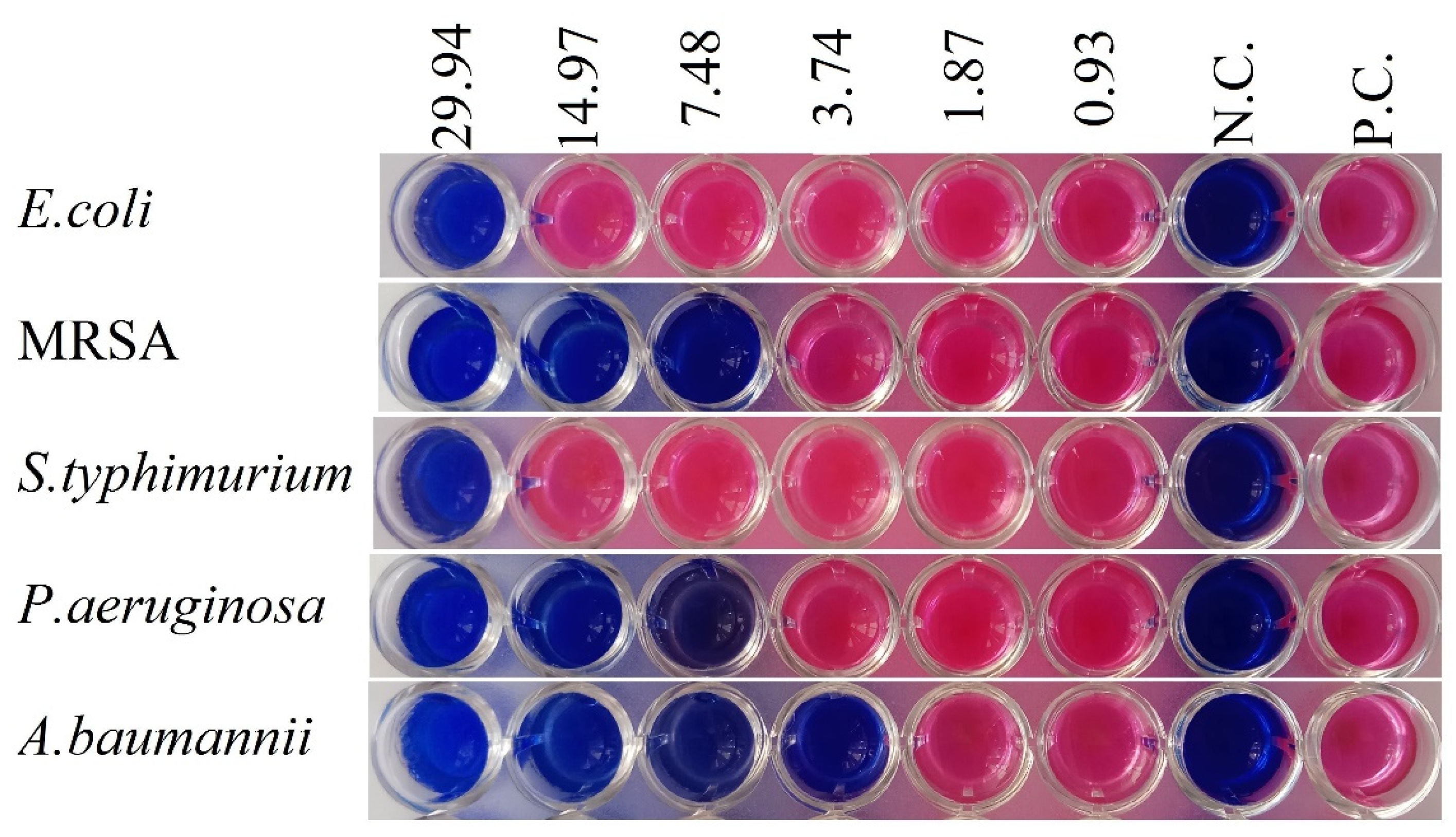 Molecules 28 00678 g002 Molecules 28 00678 g002