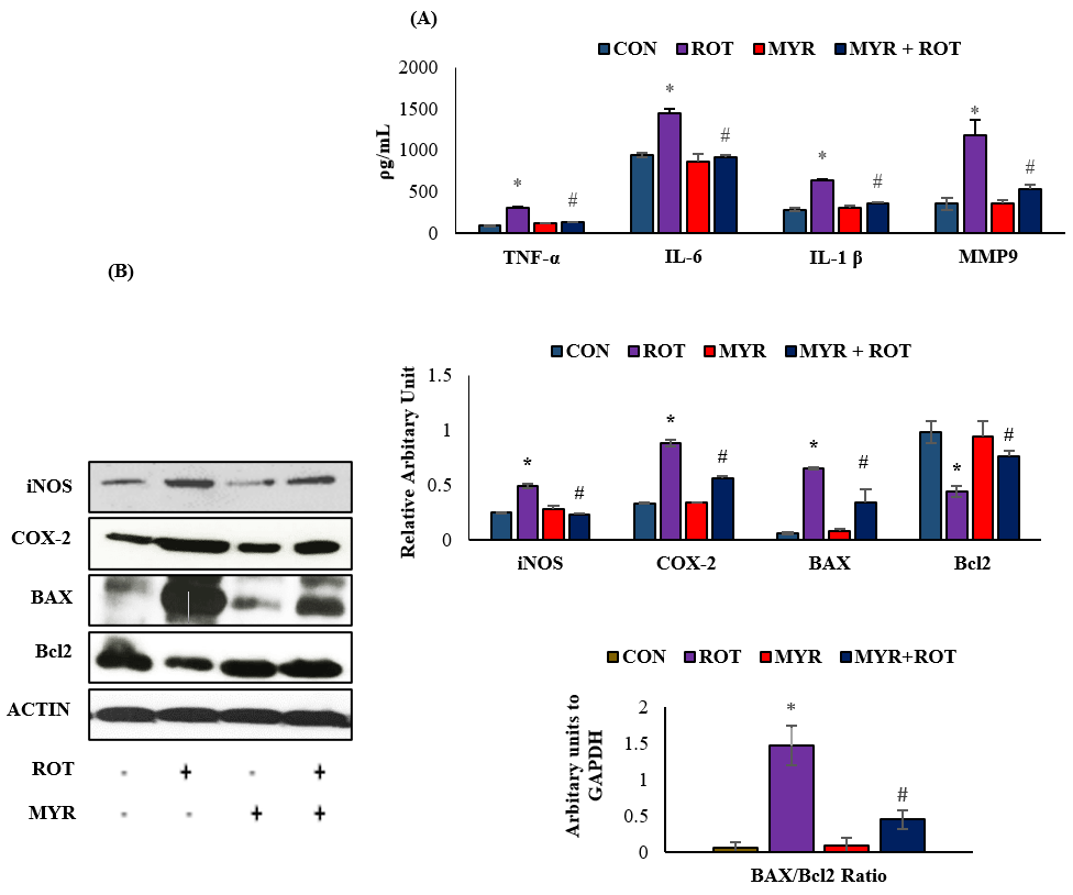 Molecules 28 00685 g002 Molecules 28 00685 g002