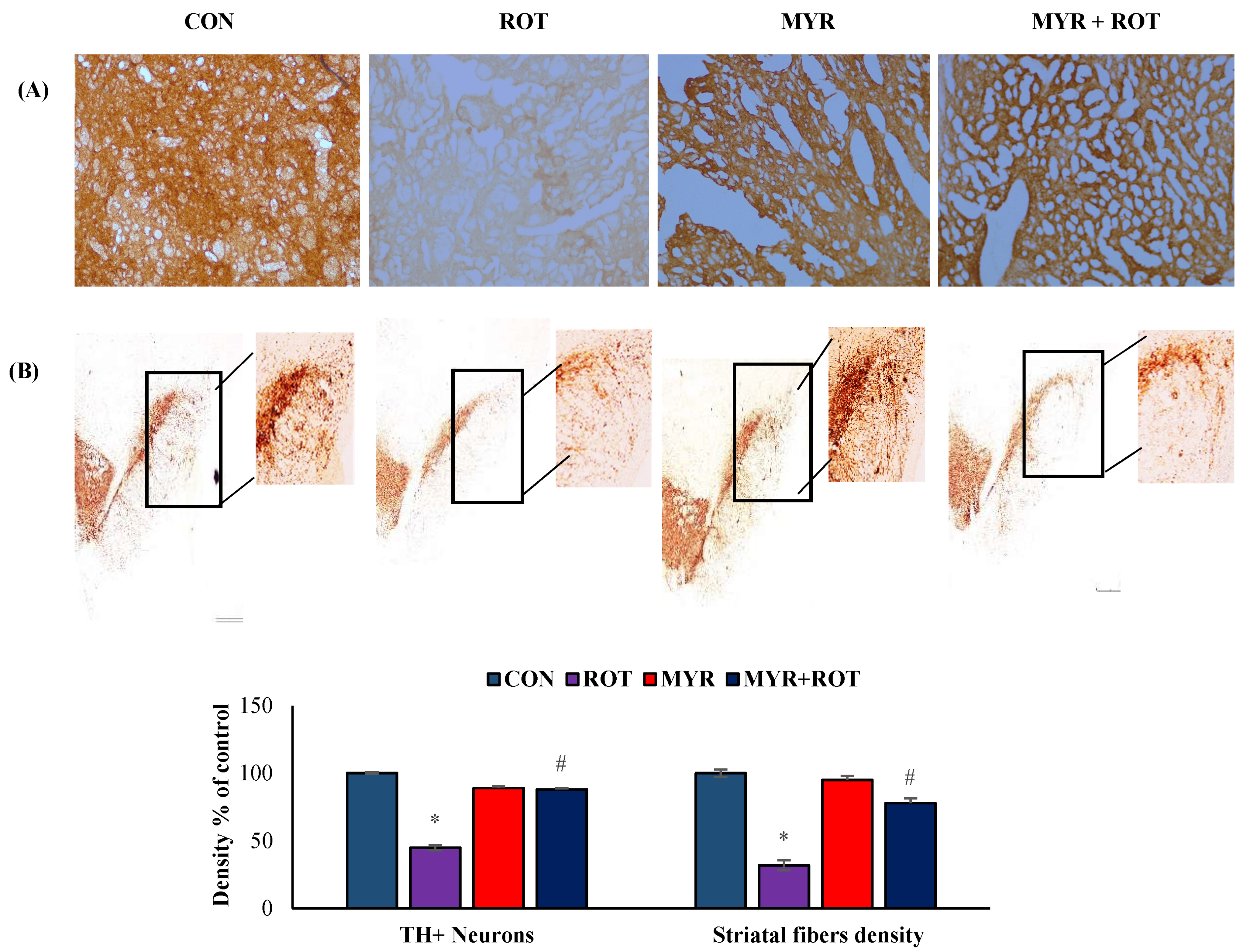 Molecules 28 00685 g003 Molecules 28 00685 g003