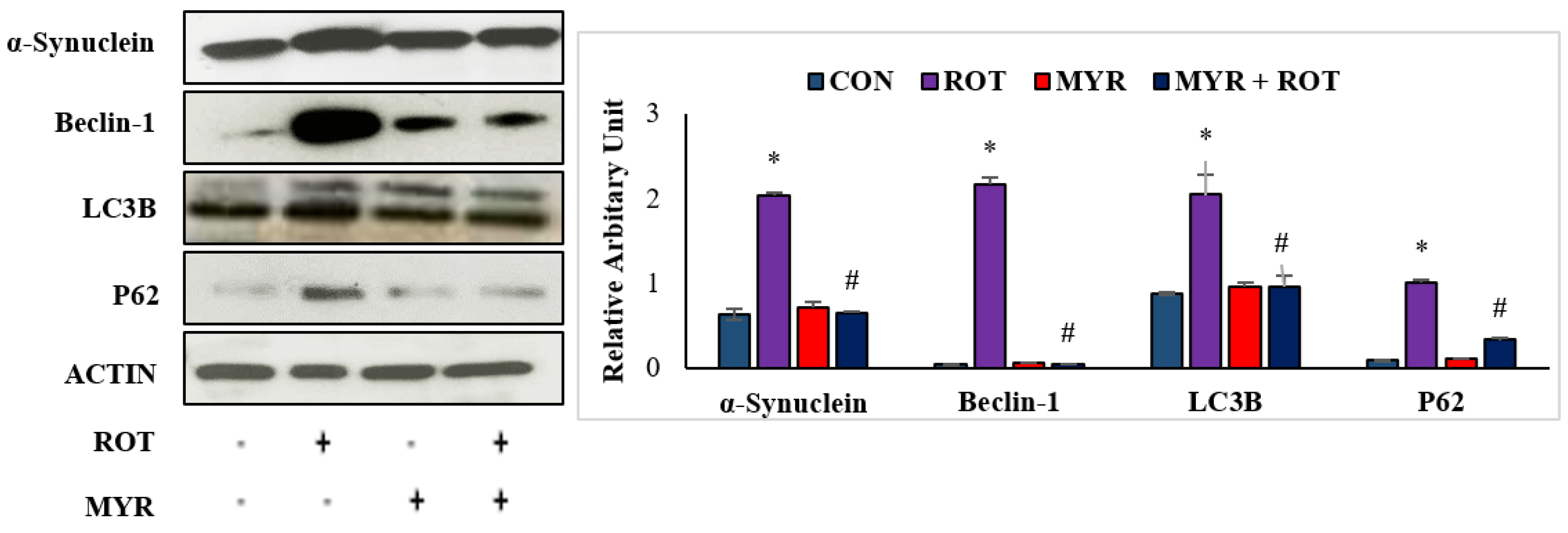 Molecules 28 00685 g005 Molecules 28 00685 g005