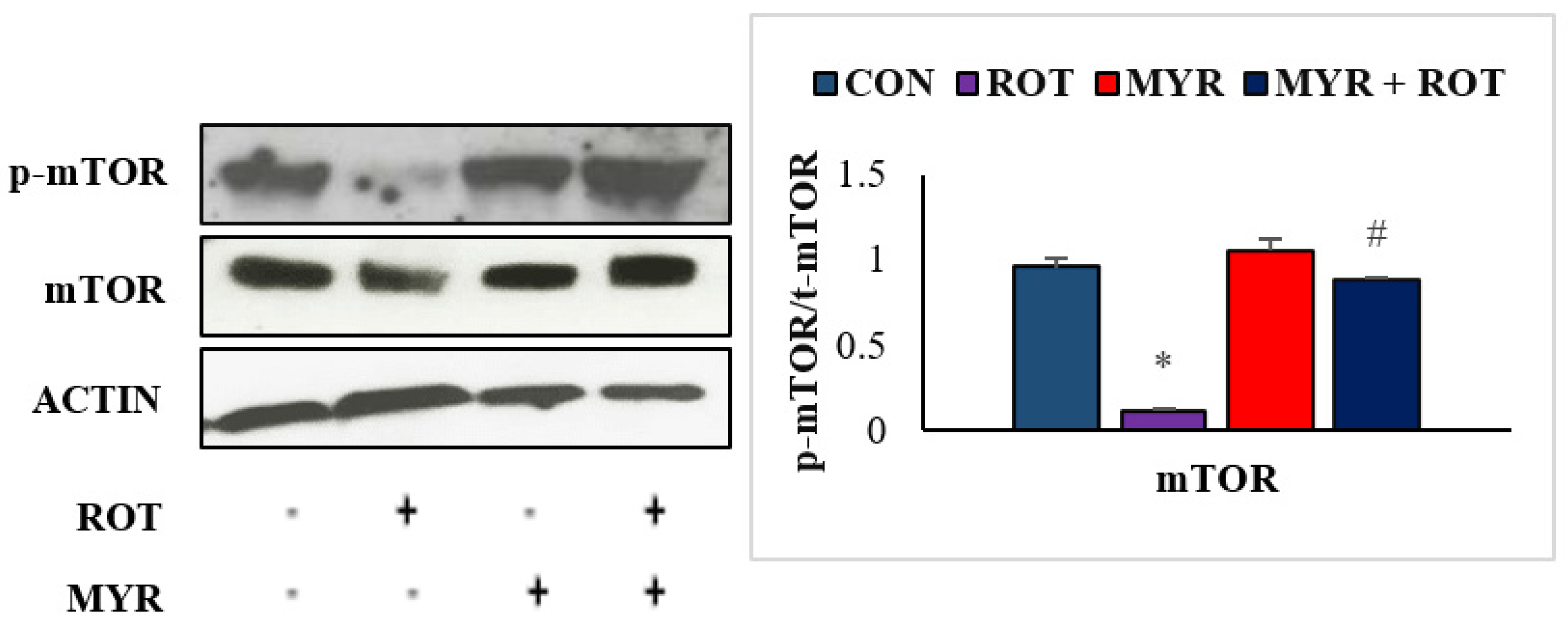 Molecules 28 00685 g006 Molecules 28 00685 g006