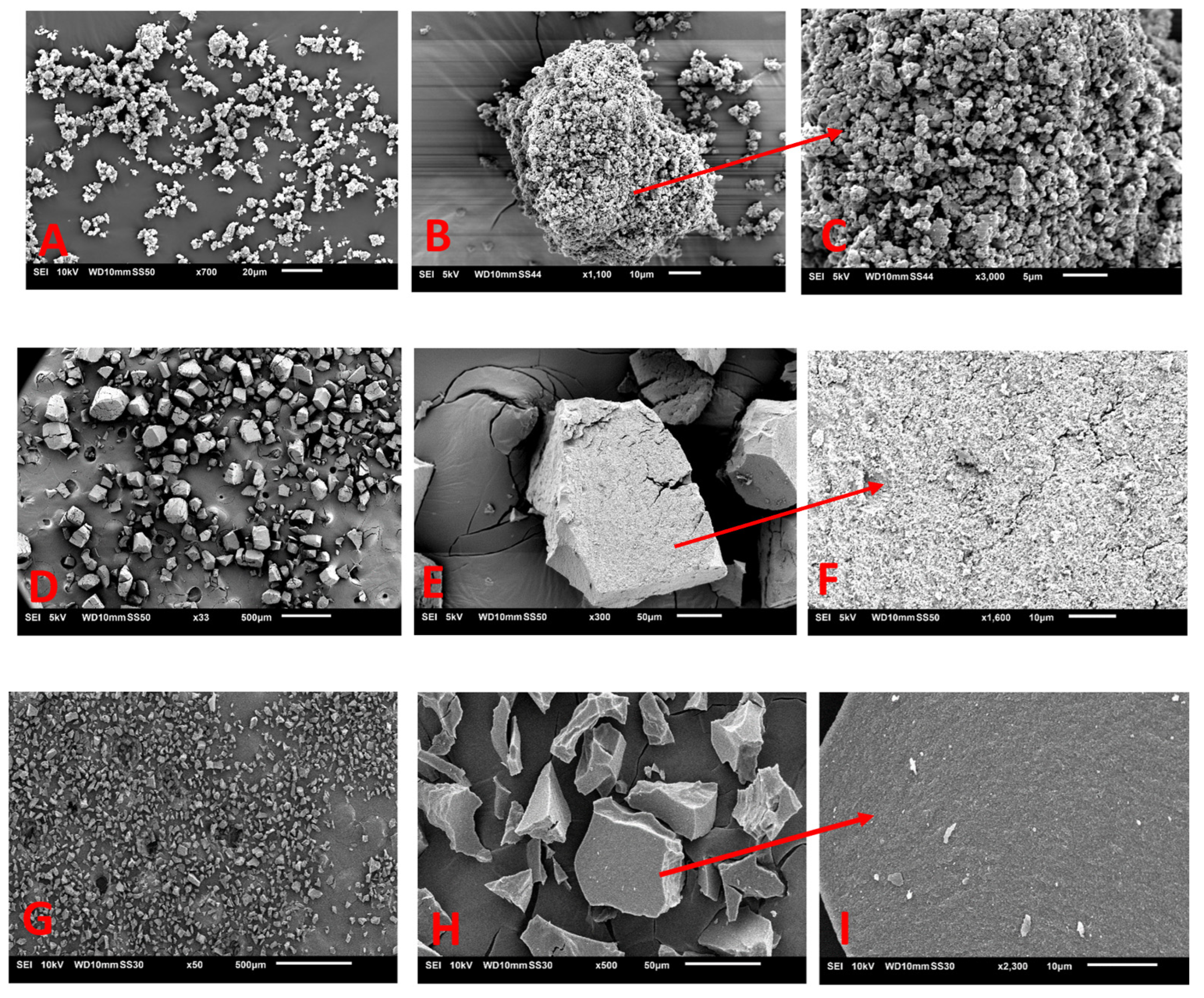 Molecules 28 00687 g006 Molecules 28 00687 g006