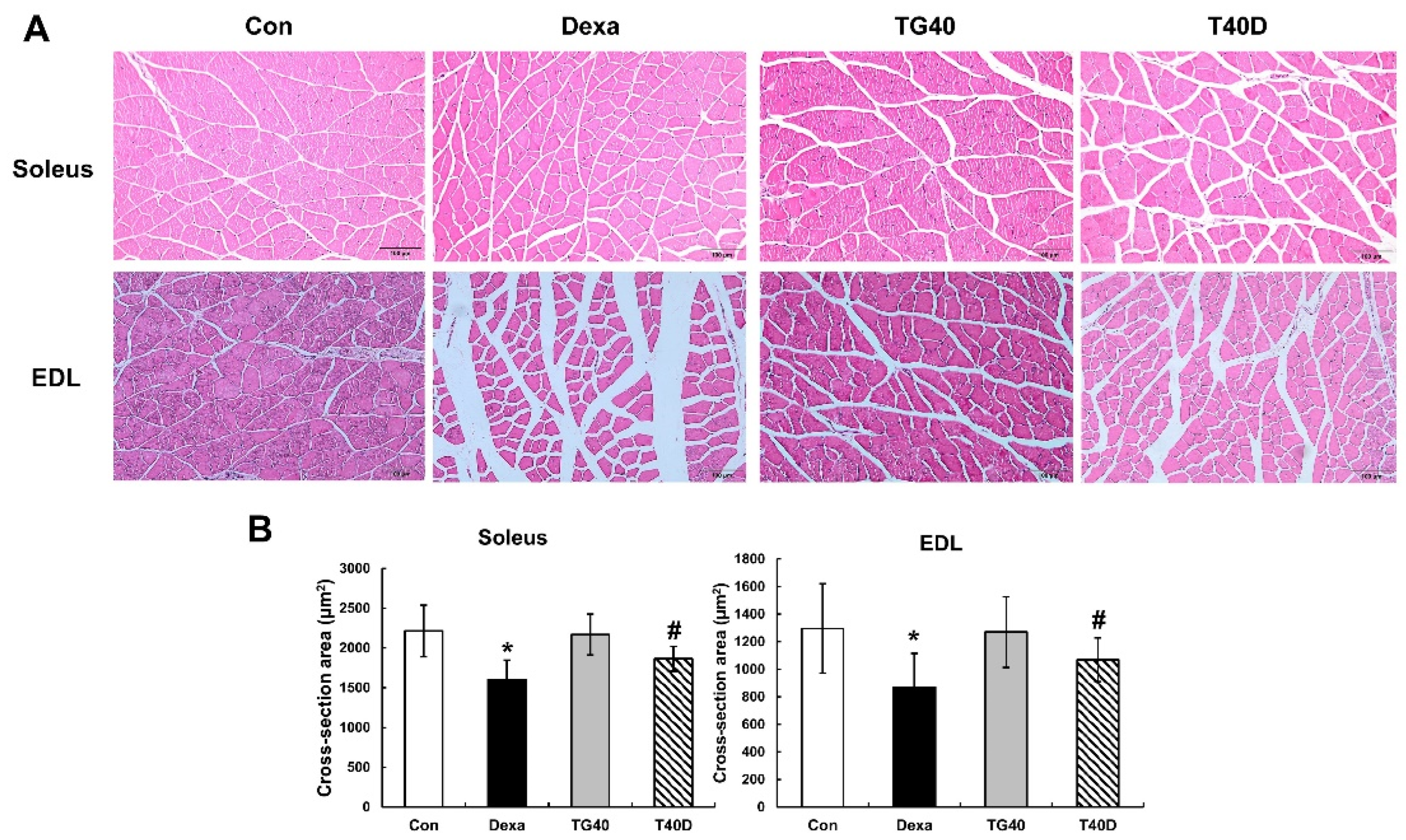 Molecules 28 00688 g003 Molecules 28 00688 g003