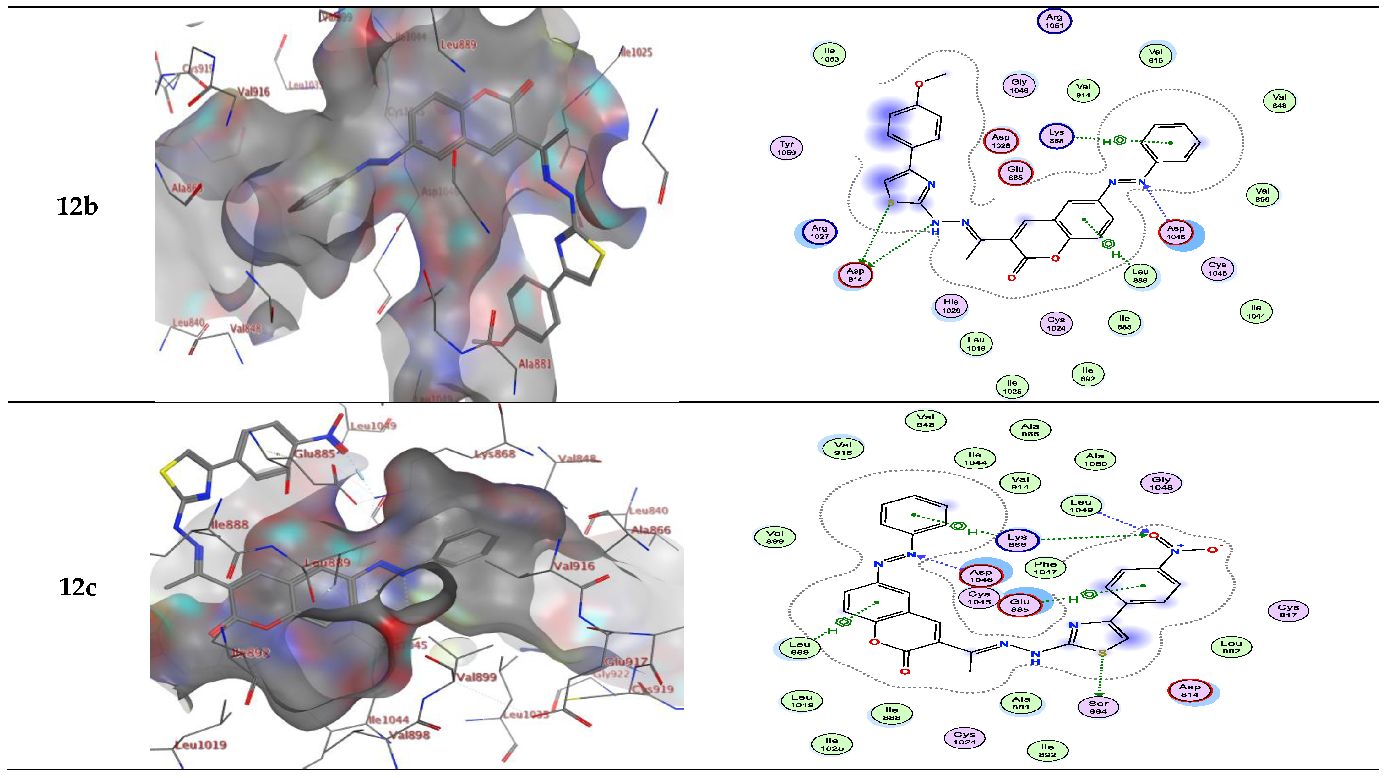 Molecules 28 00689 g004d Molecules 28 00689 g004d