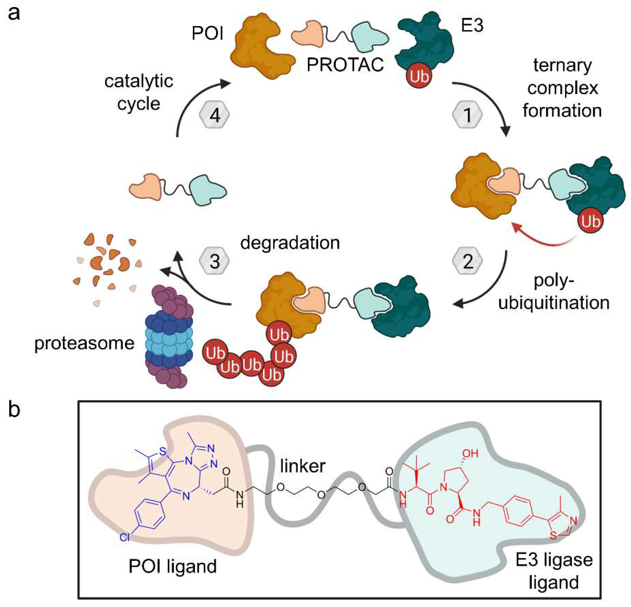 Molecules 28 00690 g004 Molecules 28 00690 g004