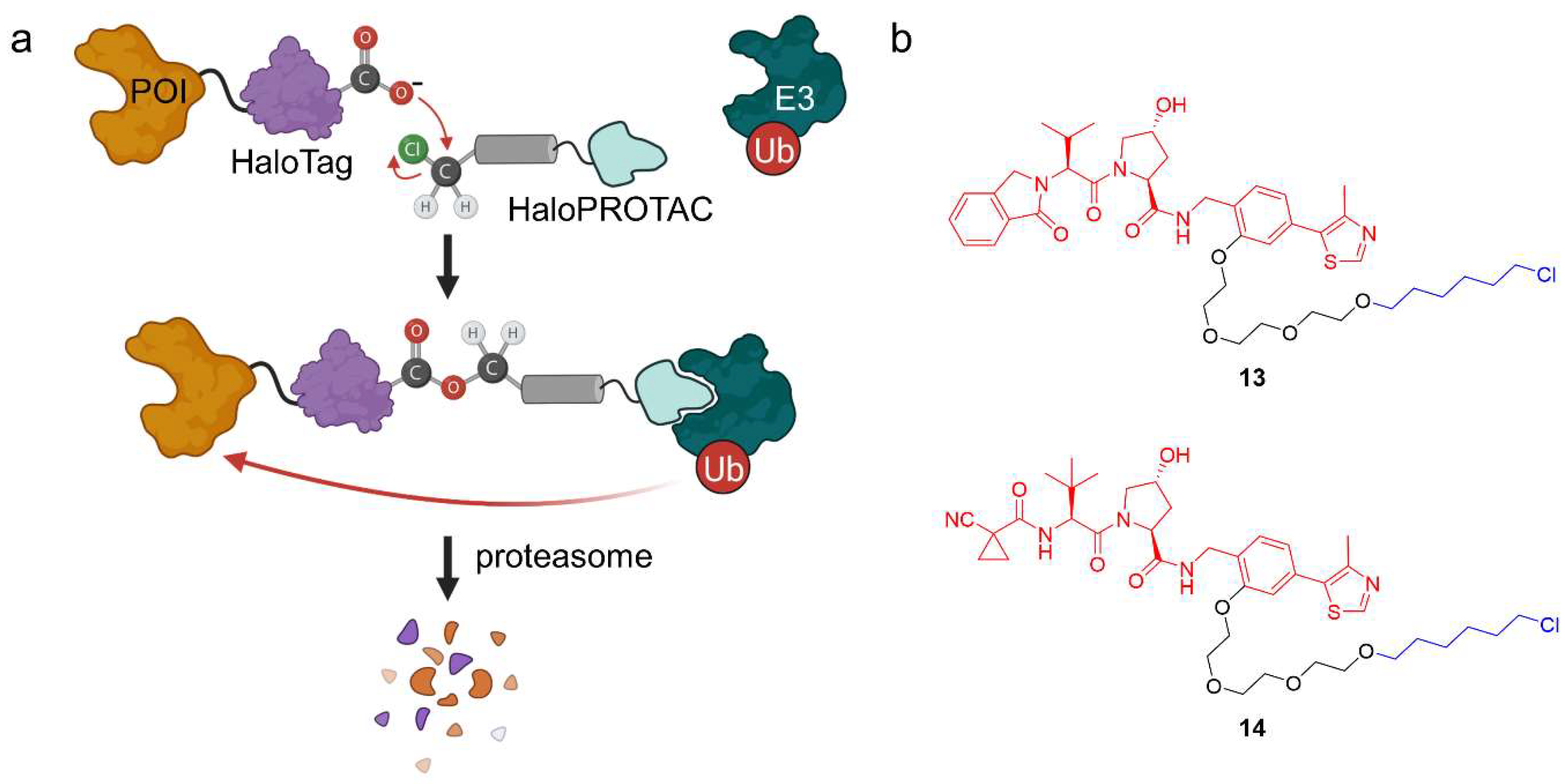 Molecules 28 00690 g010 Molecules 28 00690 g010
