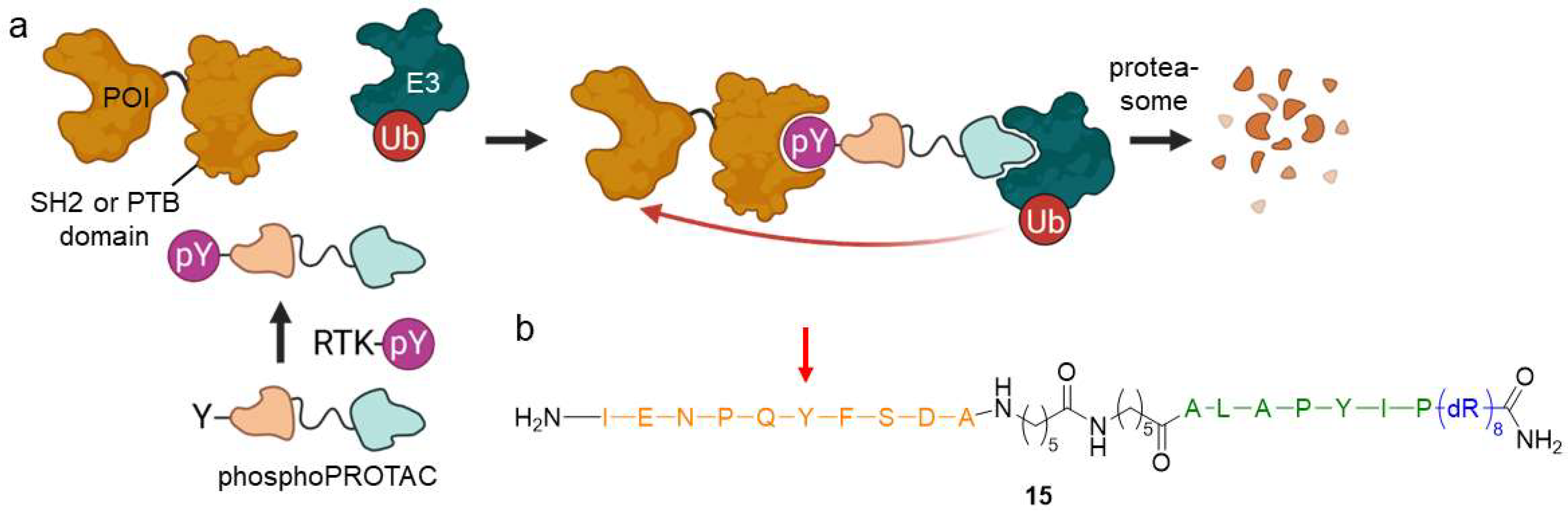 Molecules 28 00690 g011 Molecules 28 00690 g011
