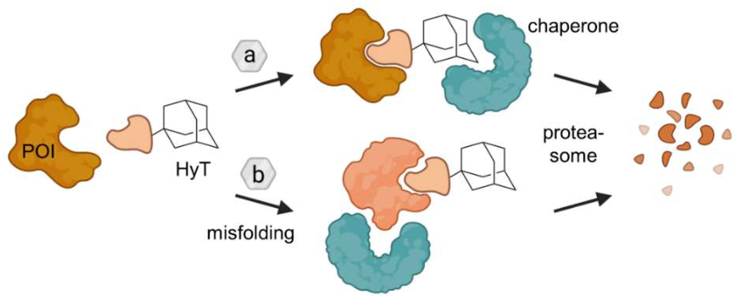 Molecules 28 00690 g012 Molecules 28 00690 g012